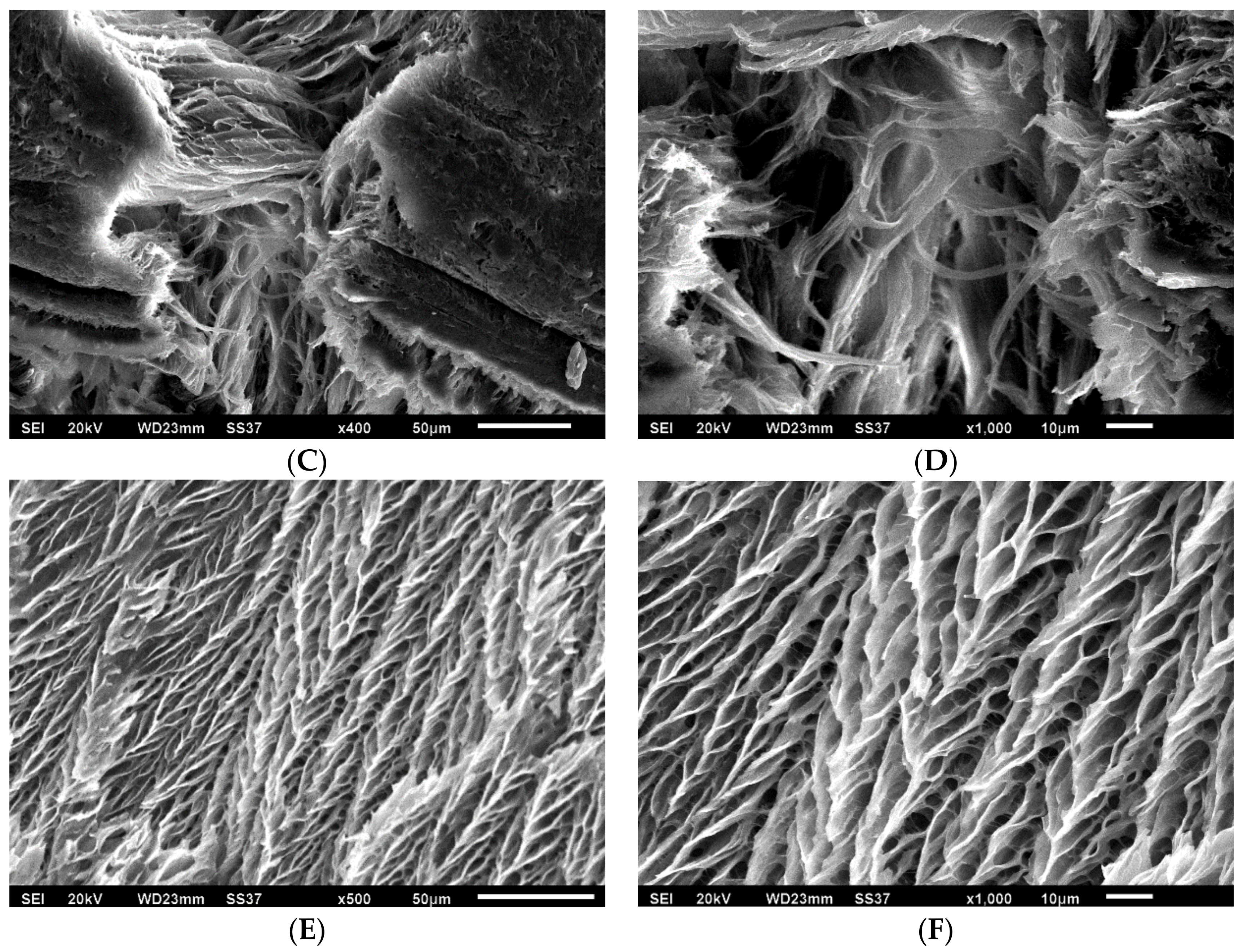 Polymers 10 01102 g003b 550