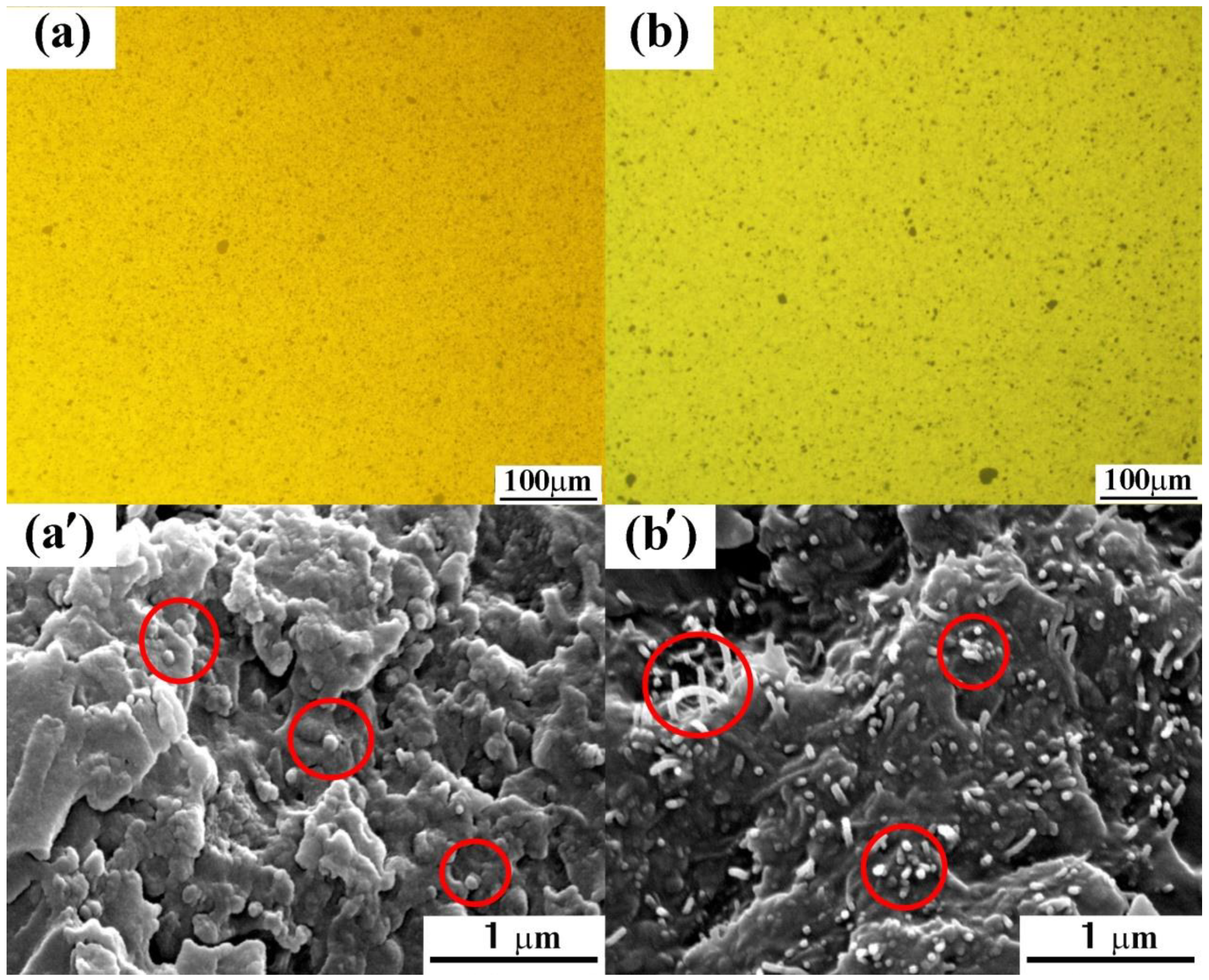 Polymers 10 01103 g010 Polymers 10 01103 g010