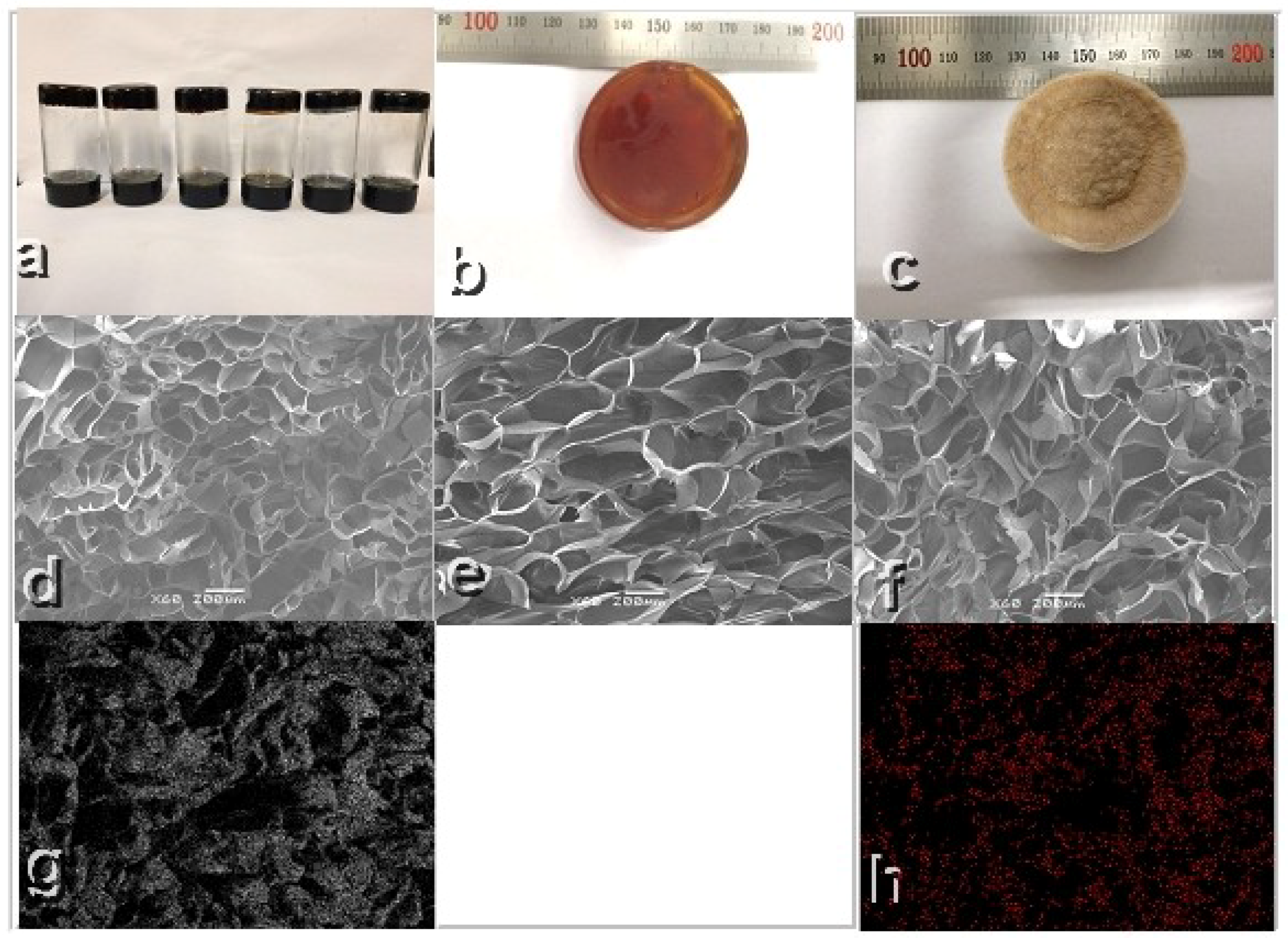 Polymers 10 01109 g001