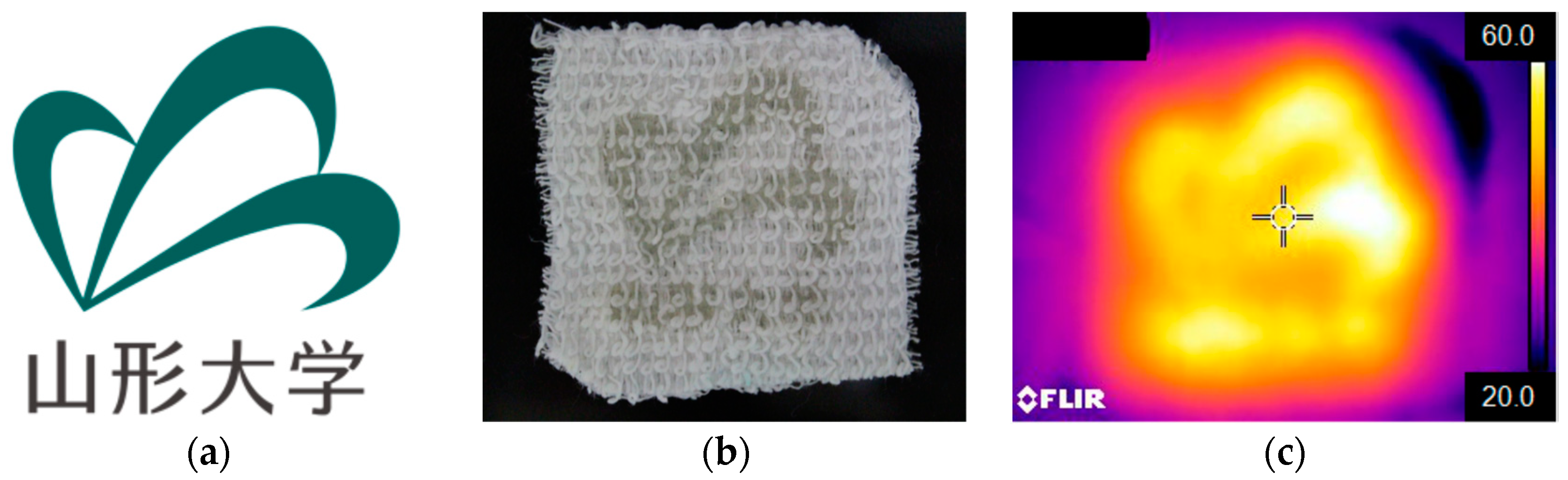Polymers 10 01117 g010