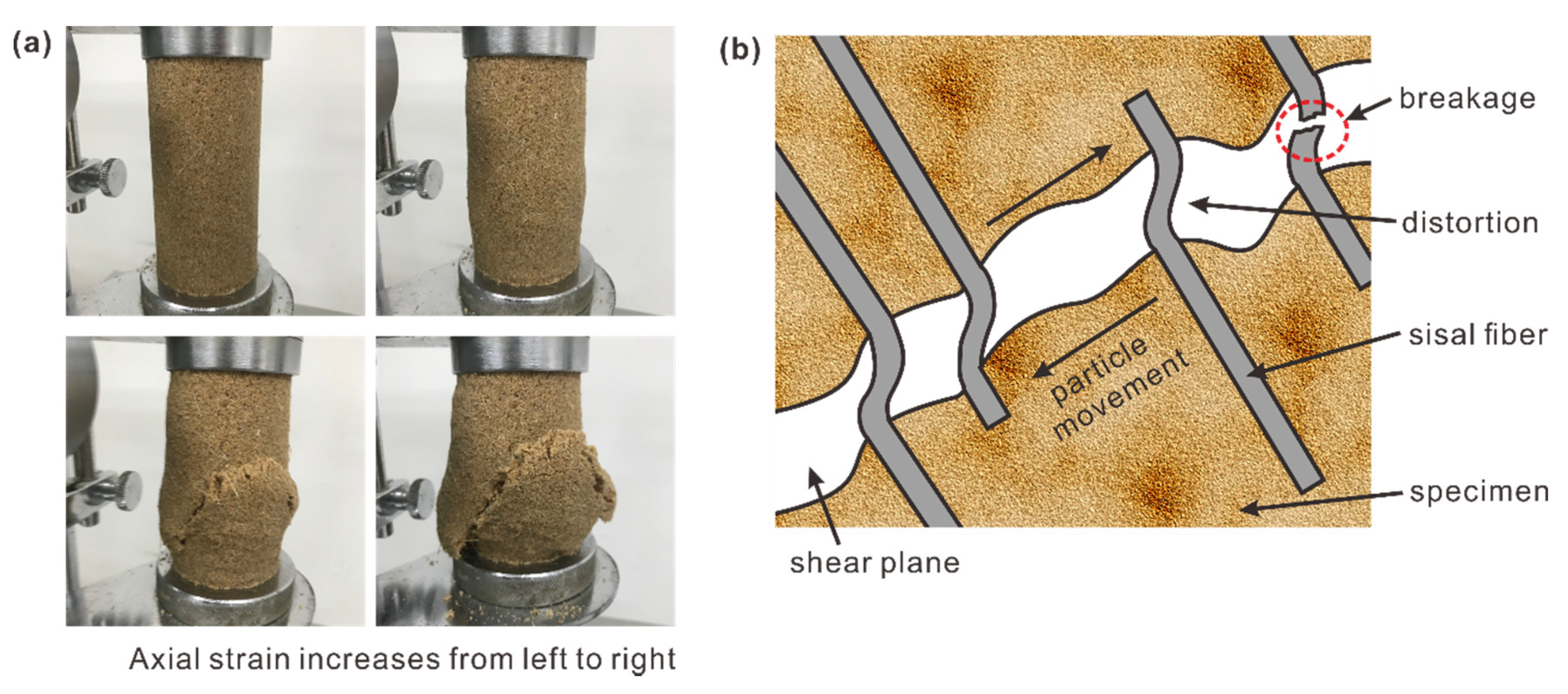 Polymers 10 01121 g005 Polymers 10 01121 g005