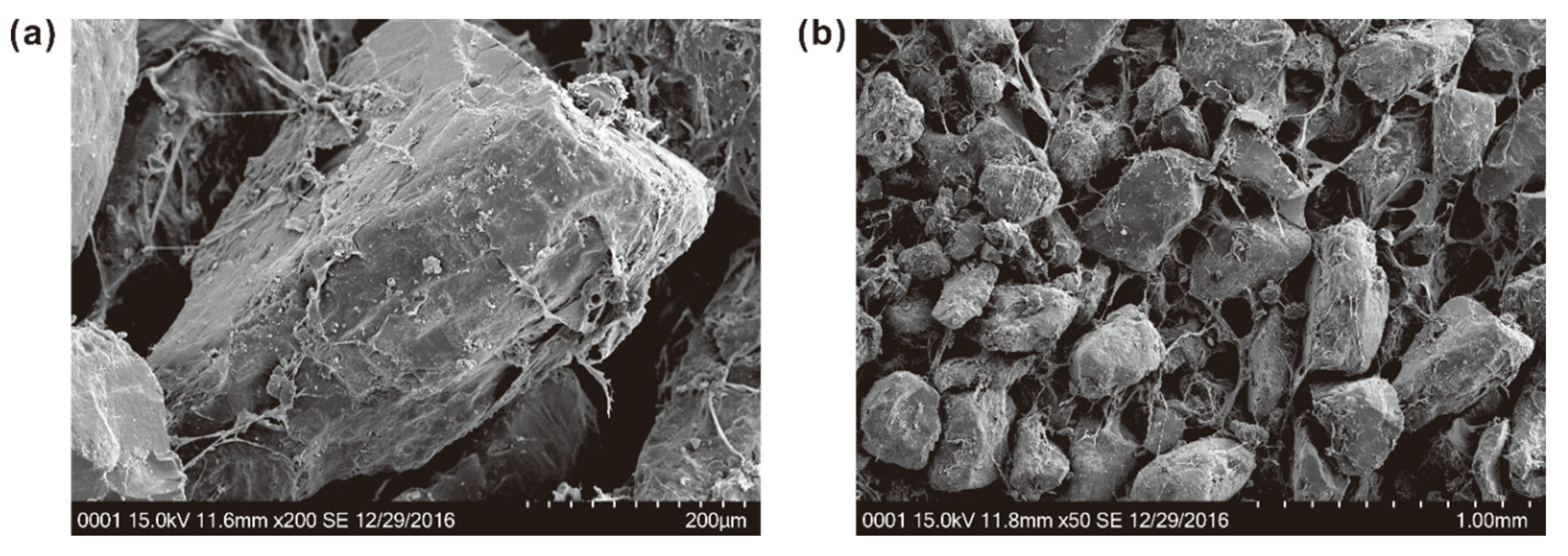 Polymers 10 01121 g010 Polymers 10 01121 g010