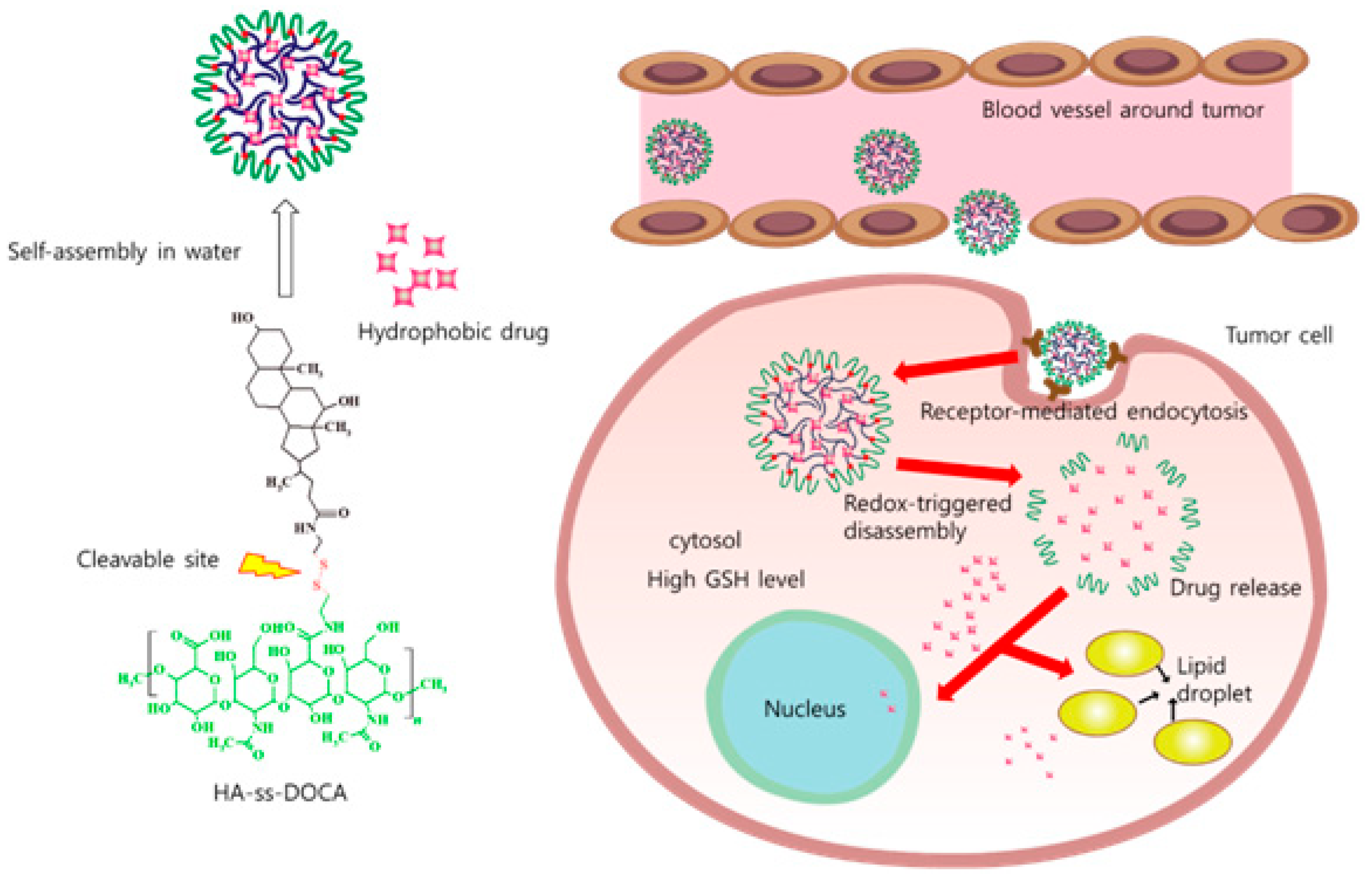 Polymers 10 01133 g004 Polymers 10 01133 g004