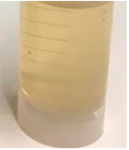 Polymers 10 01141 i006 Polymers 10 01141 i006