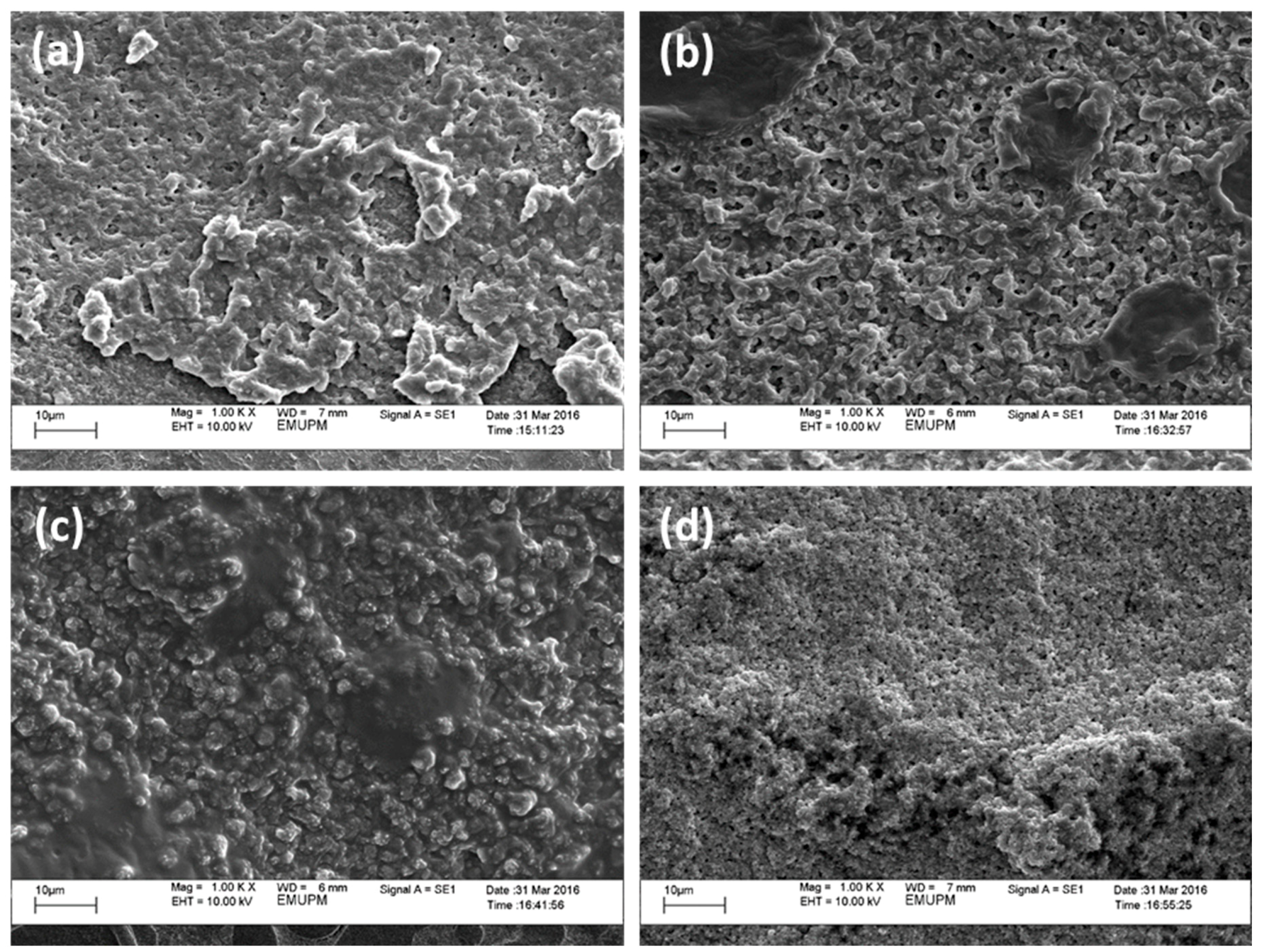 Polymers 10 01142 g013 Polymers 10 01142 g013