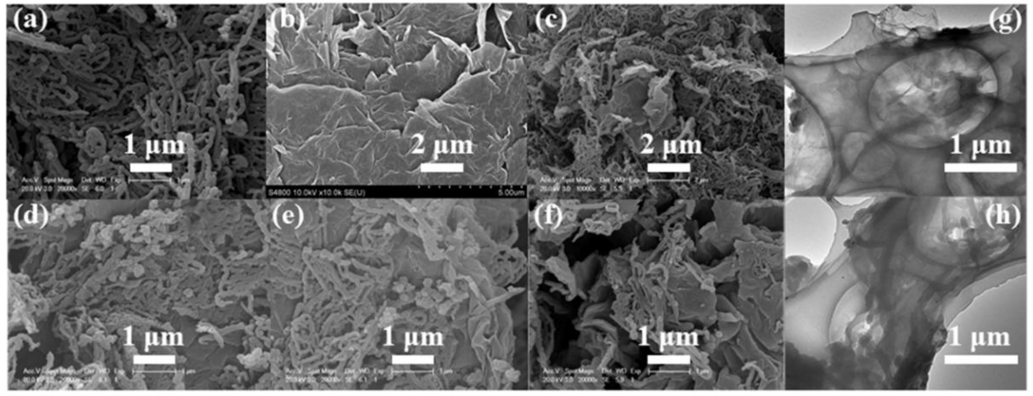 Polymers 10 01143 g005