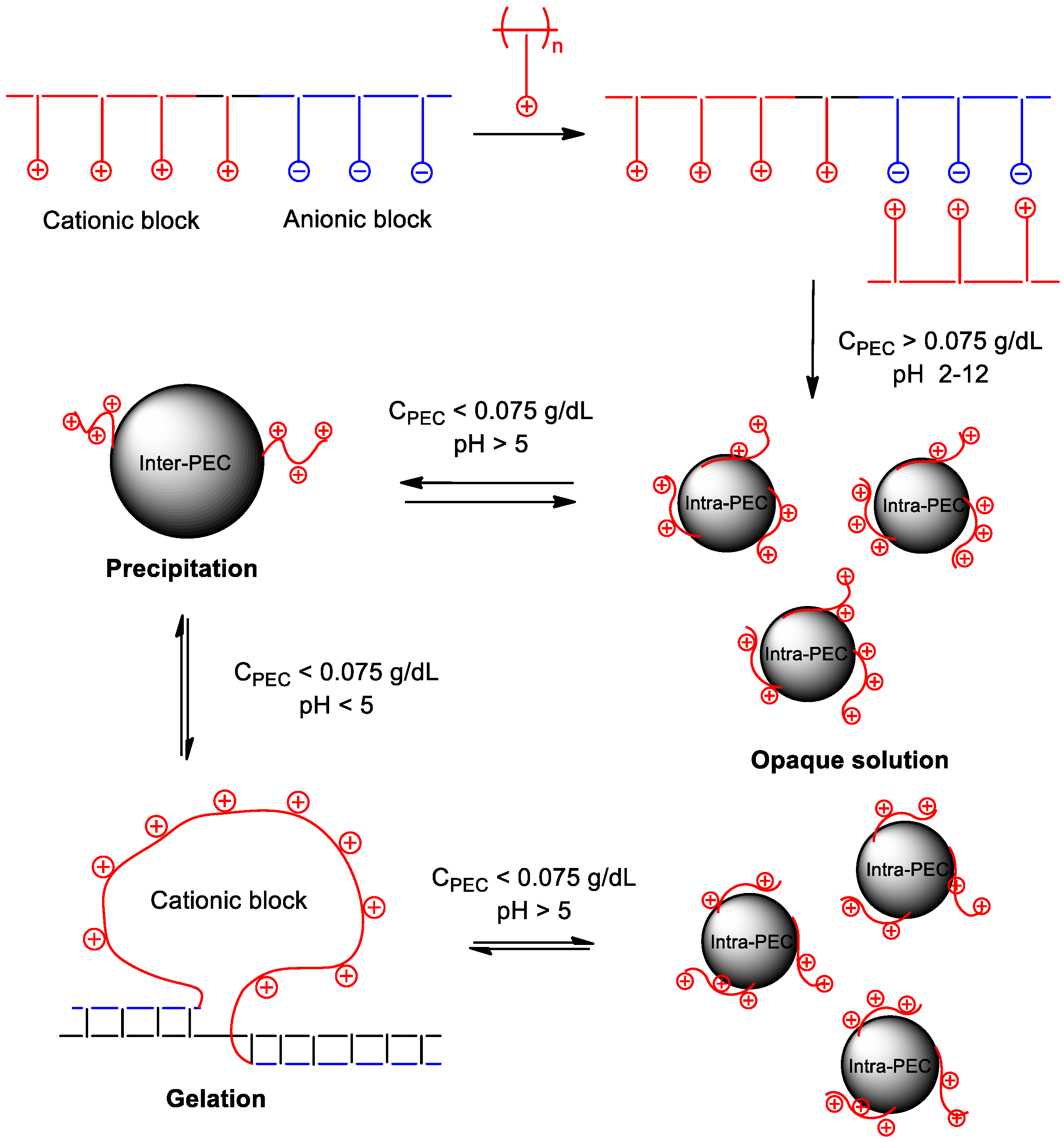 polymers free full text intra and interpolyelectrolyte pec block