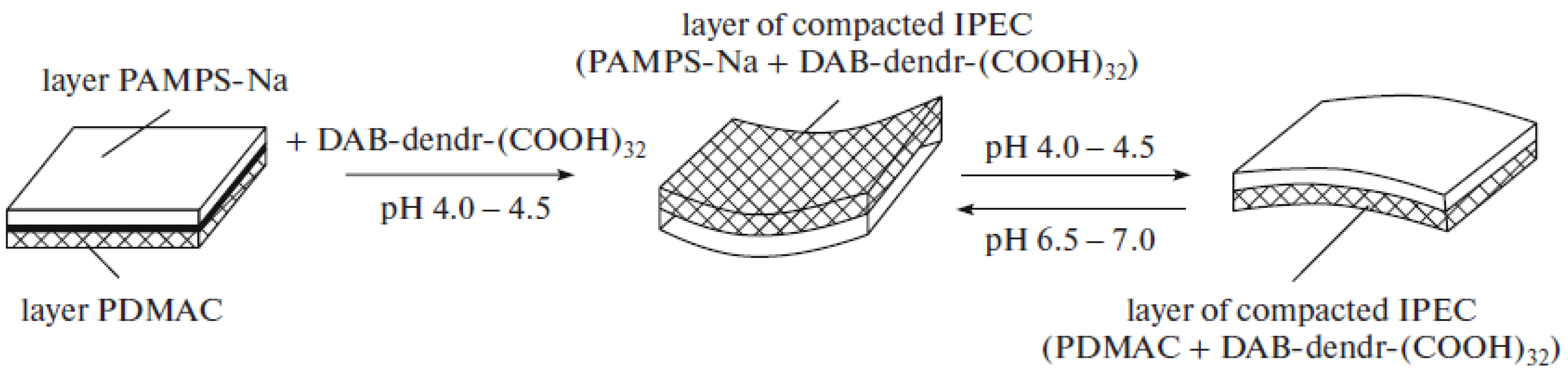 Polymers 10 01146 sch011 Polymers 10 01146 sch011