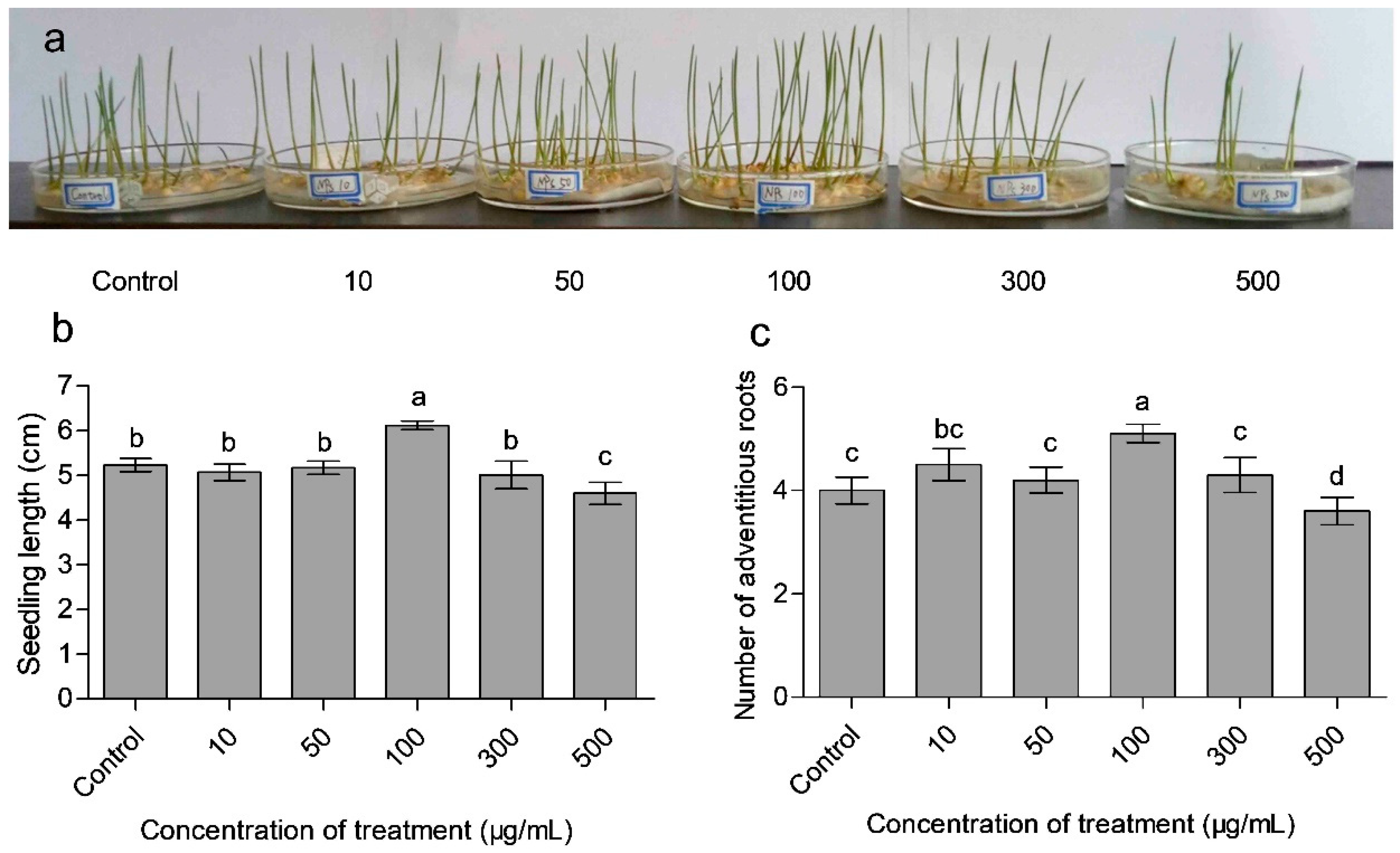 Polymers 10 01154 g003