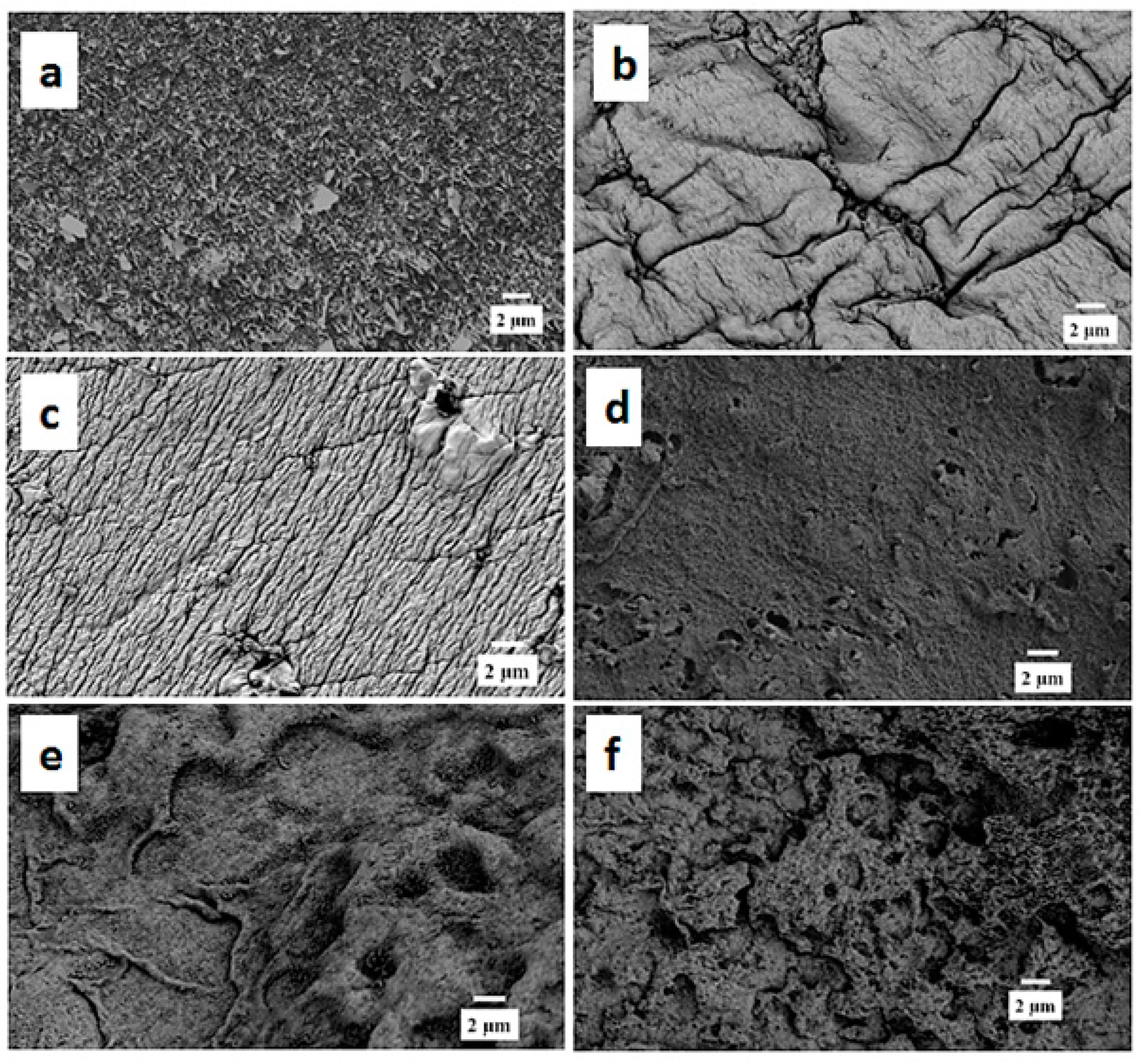 Polymers 10 01159 g004