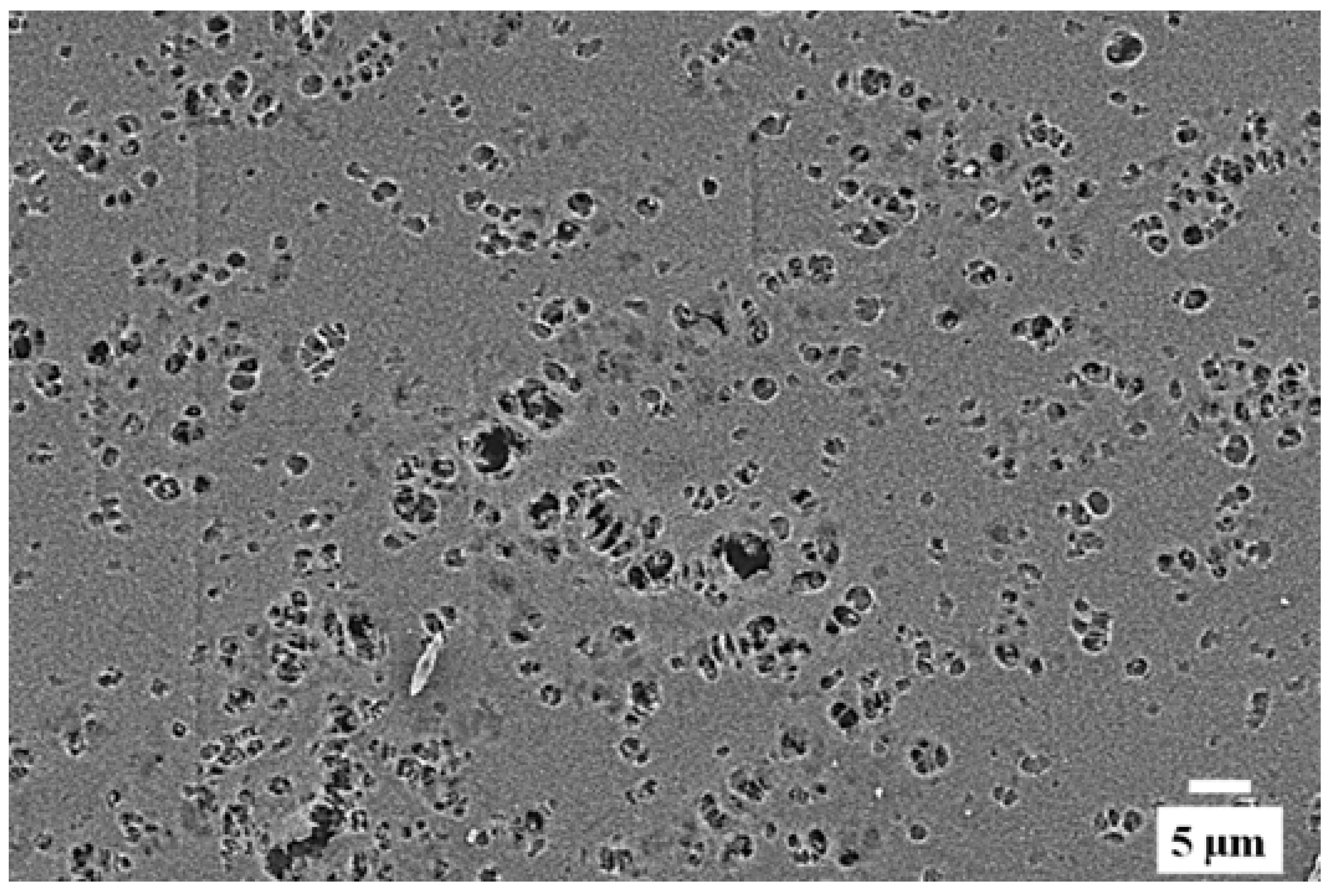 Polymers 10 01159 g005
