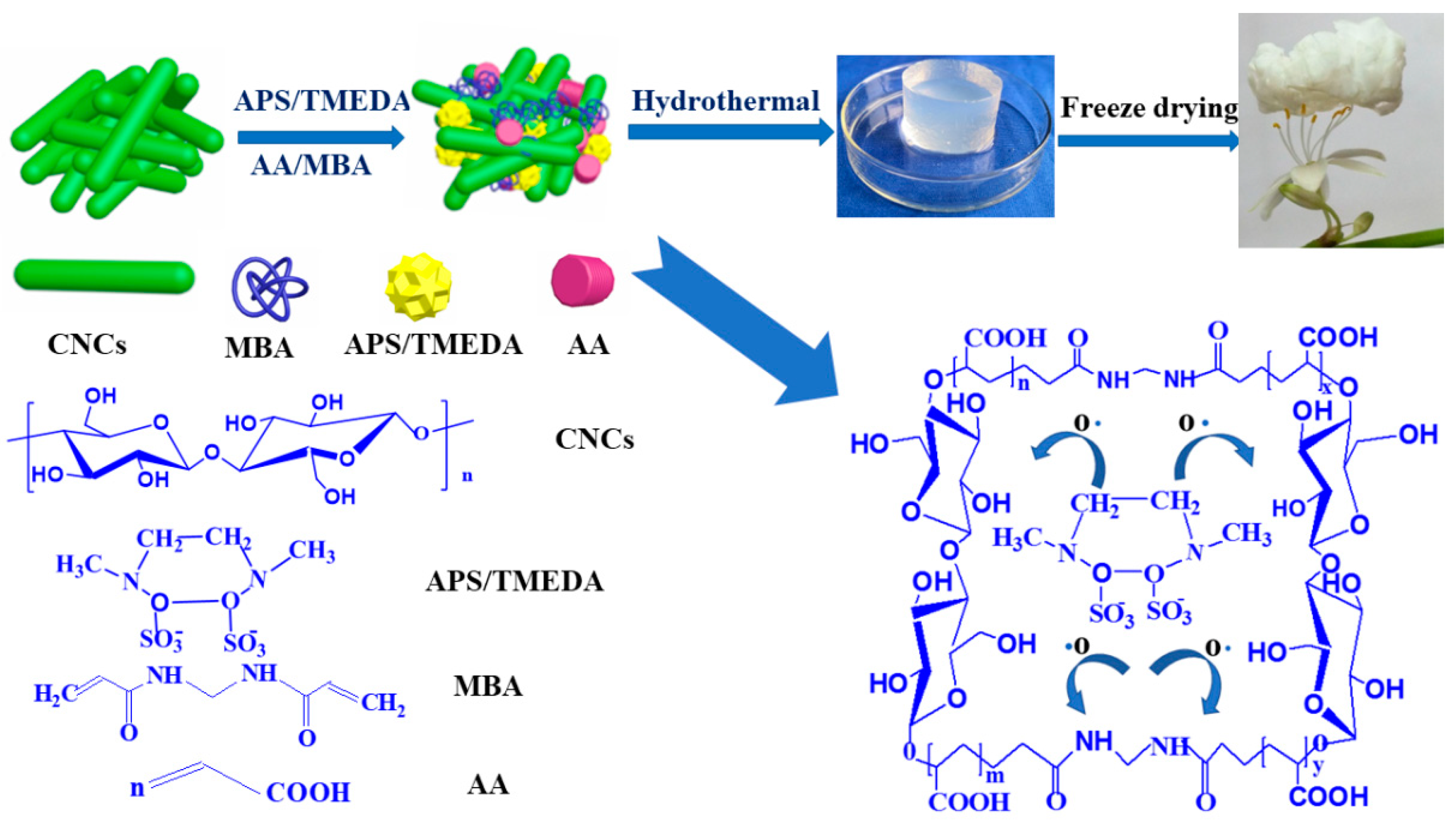Polymers 10 01168 g005 Polymers 10 01168 g005