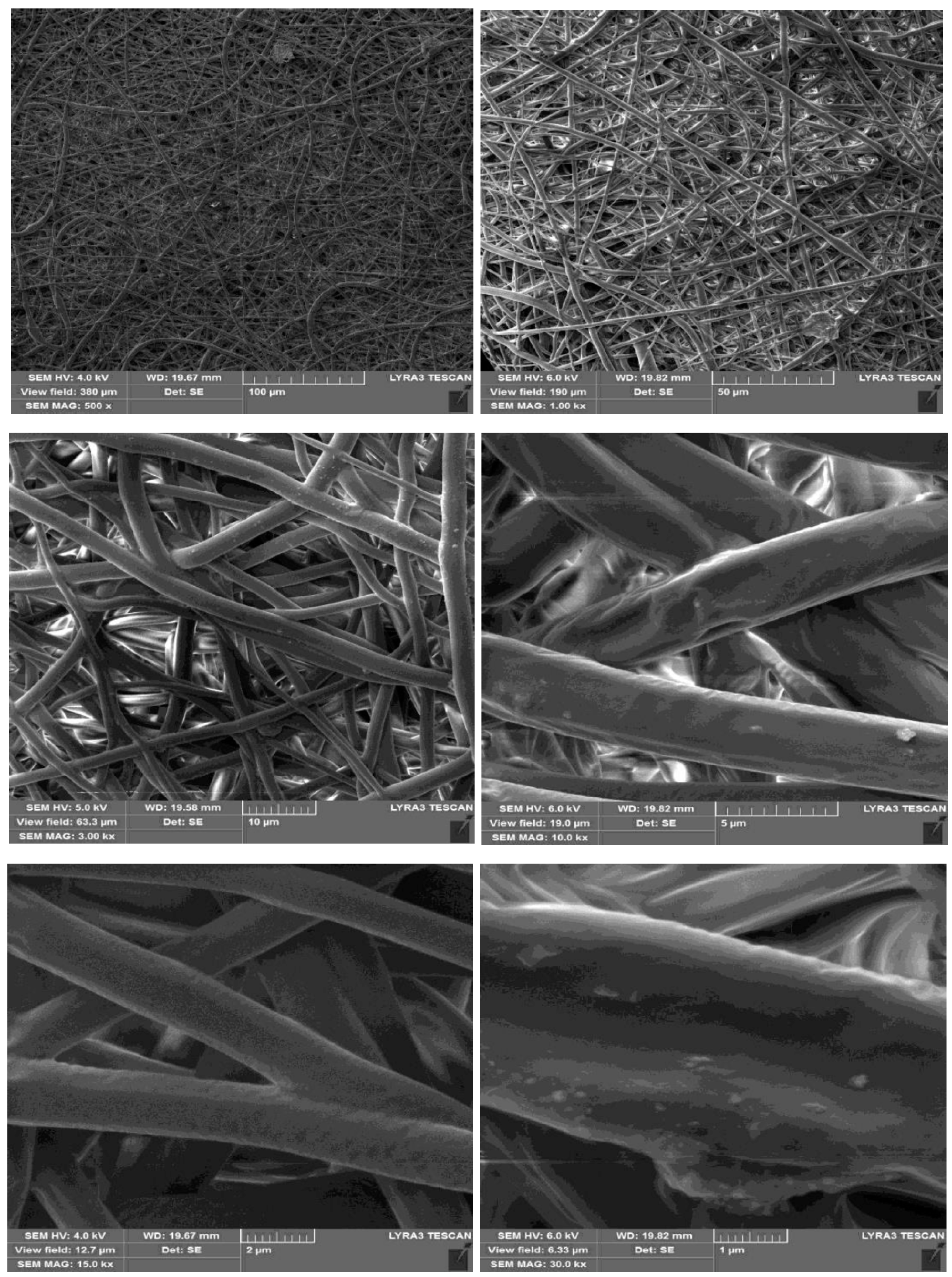 Polymers 10 01174 g005