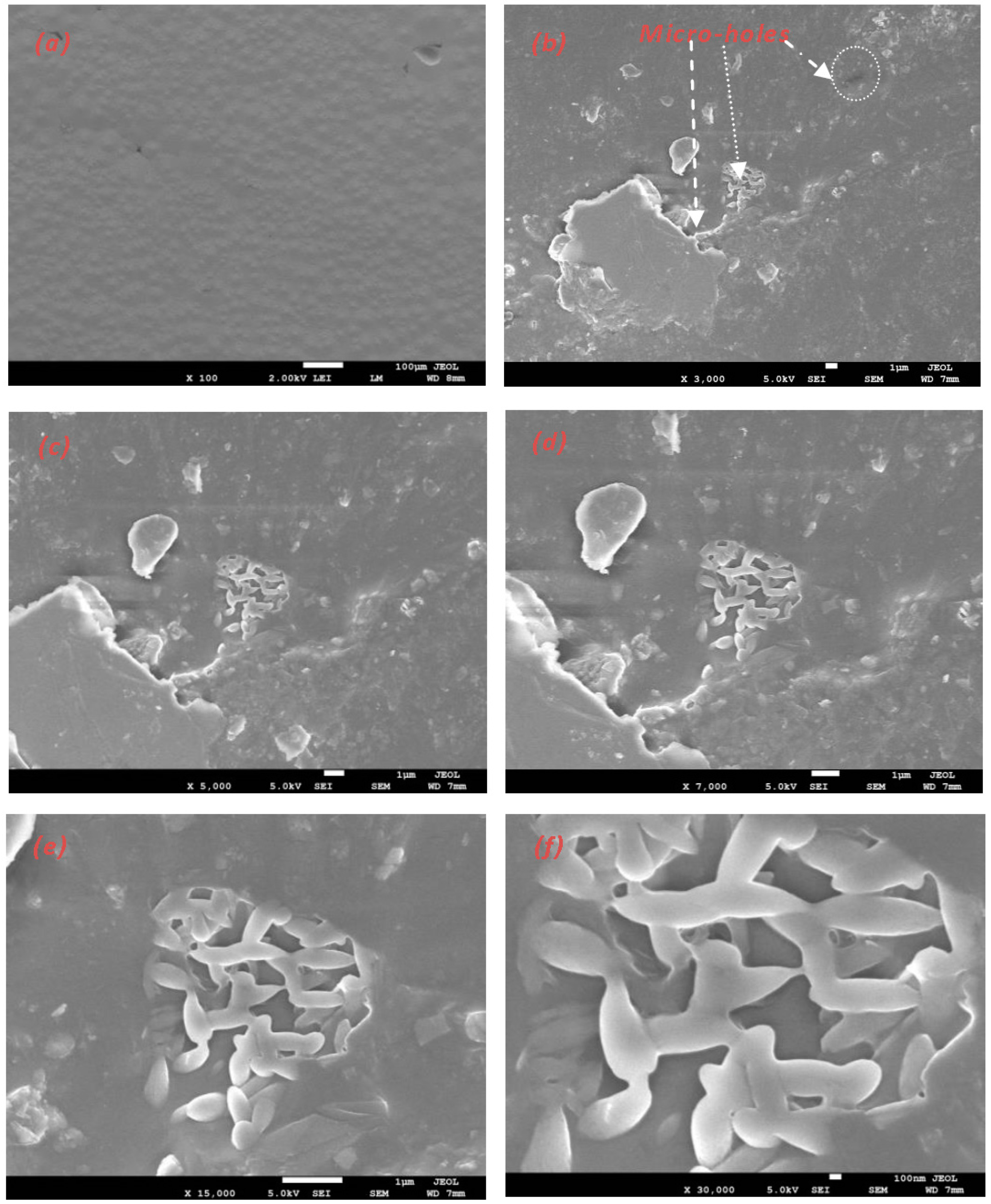 Polymers 10 01174 g006