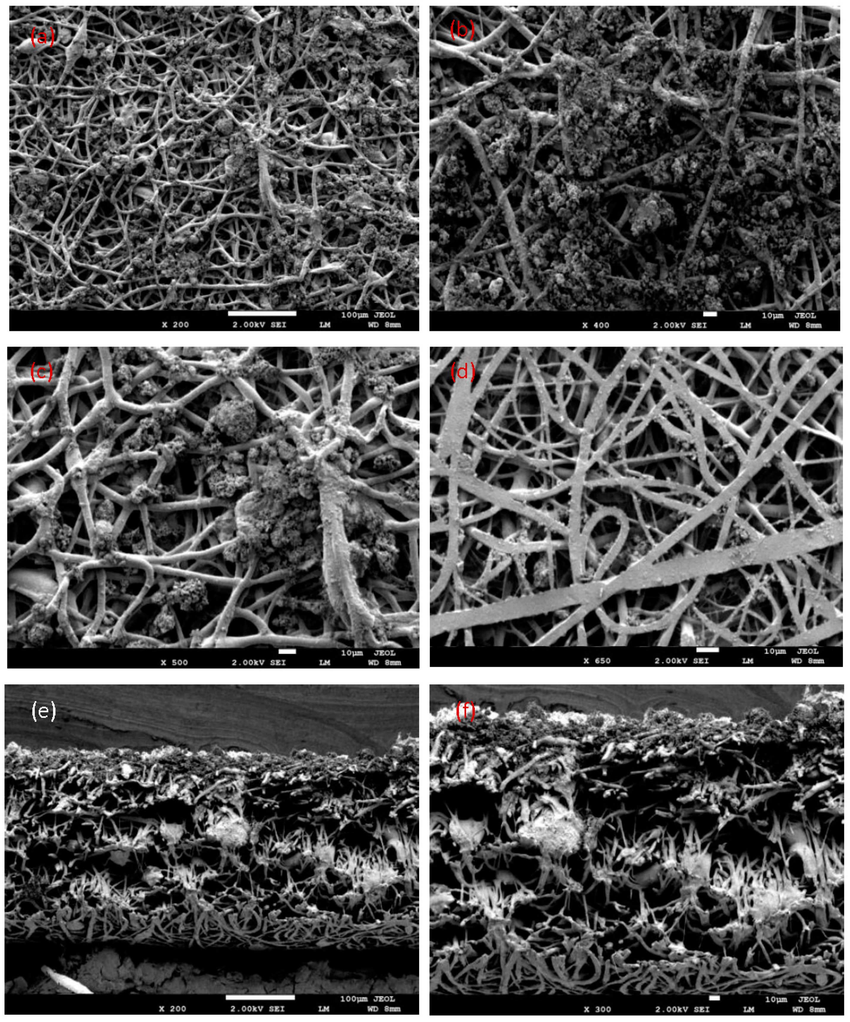 Polymers 10 01174 g008