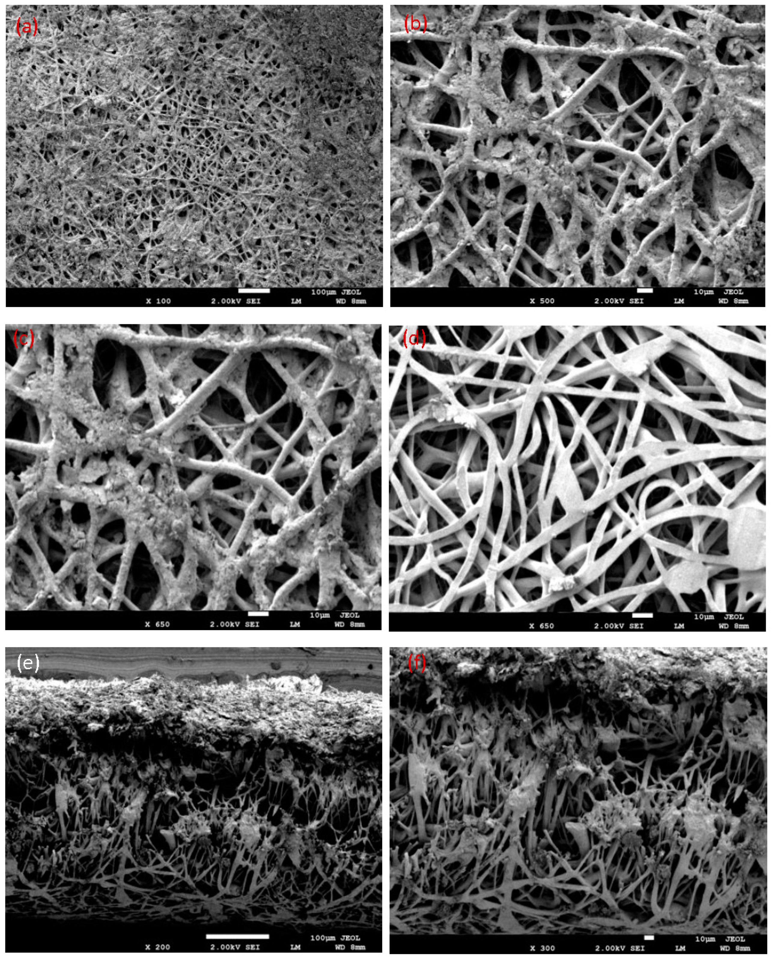 Polymers 10 01174 g009