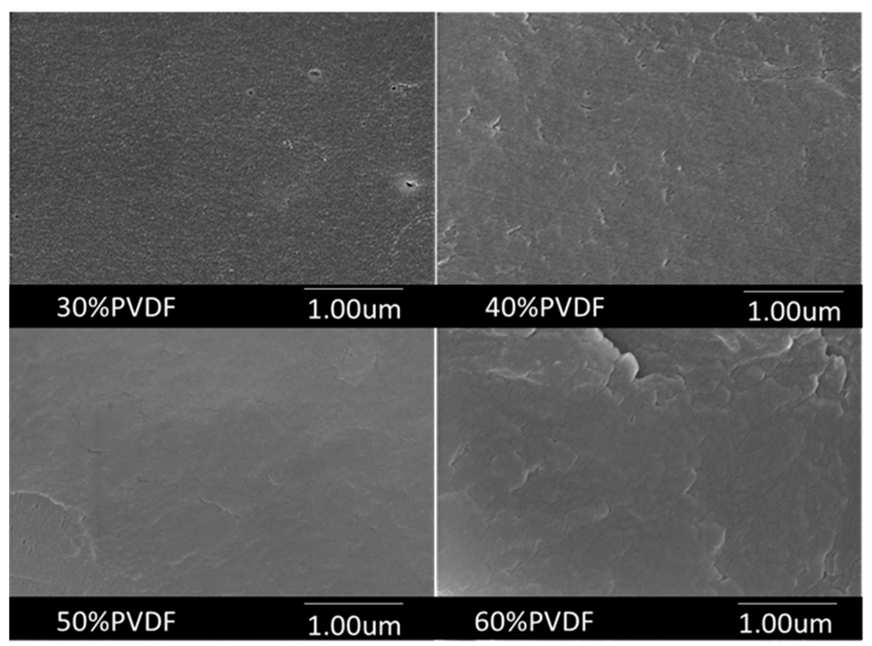 Polymers 10 01175 g004