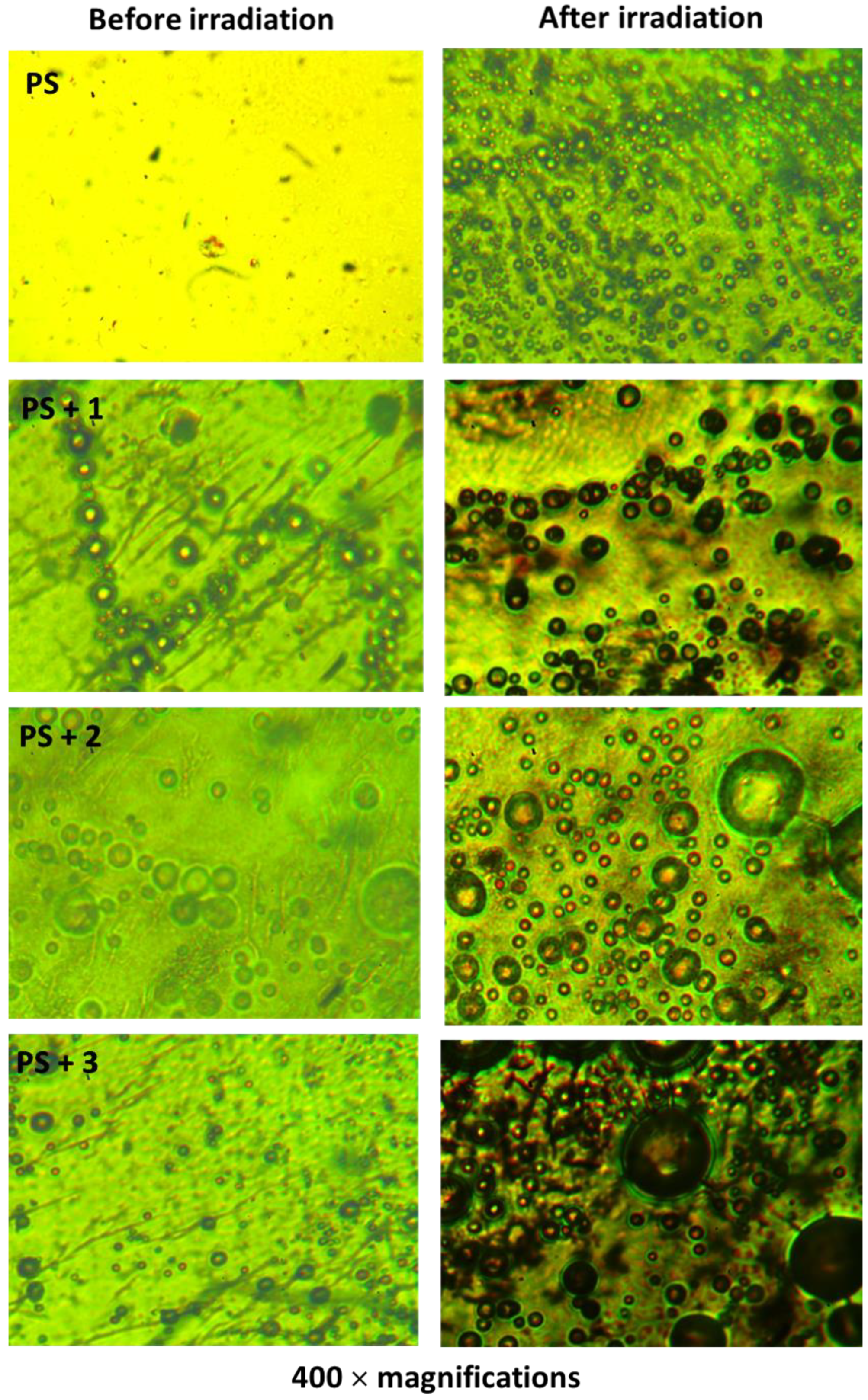 Polymers 10 01185 g010