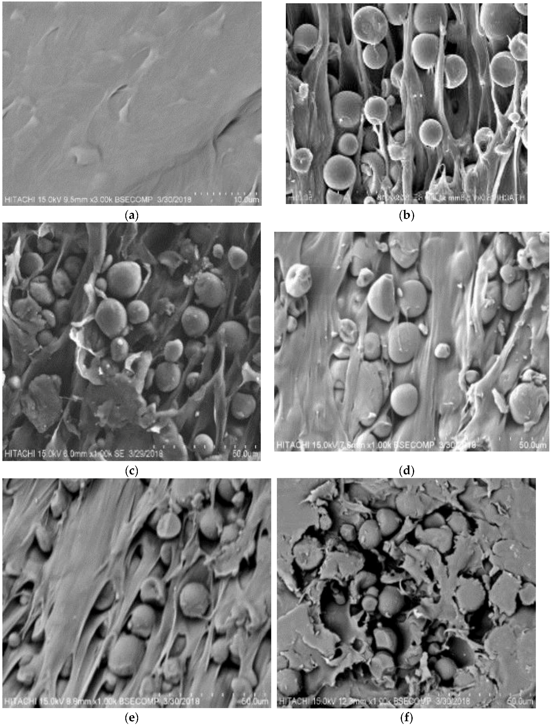 Polymers 10 01187 g004