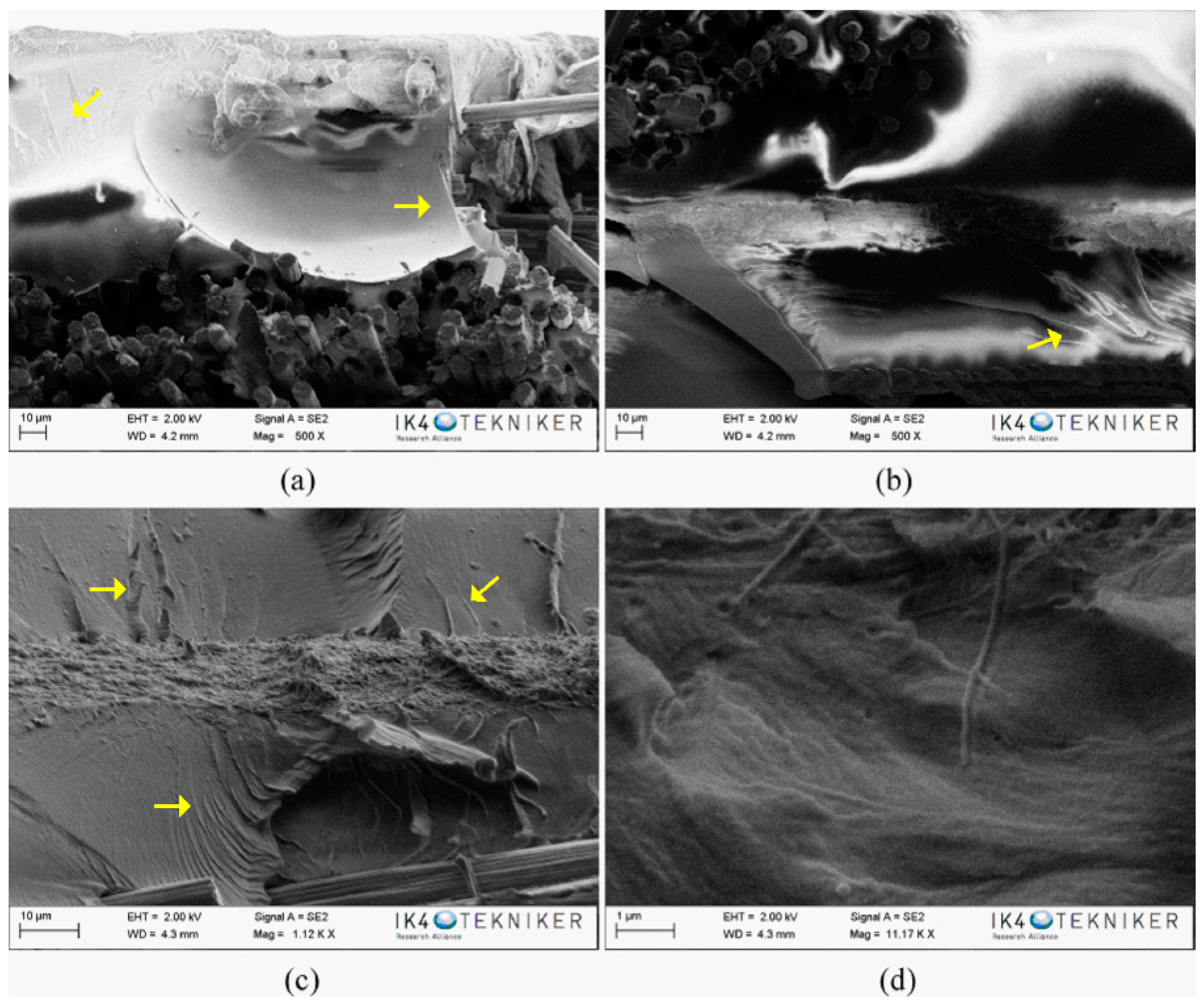 Polymers 10 01190 g004 Polymers 10 01190 g004