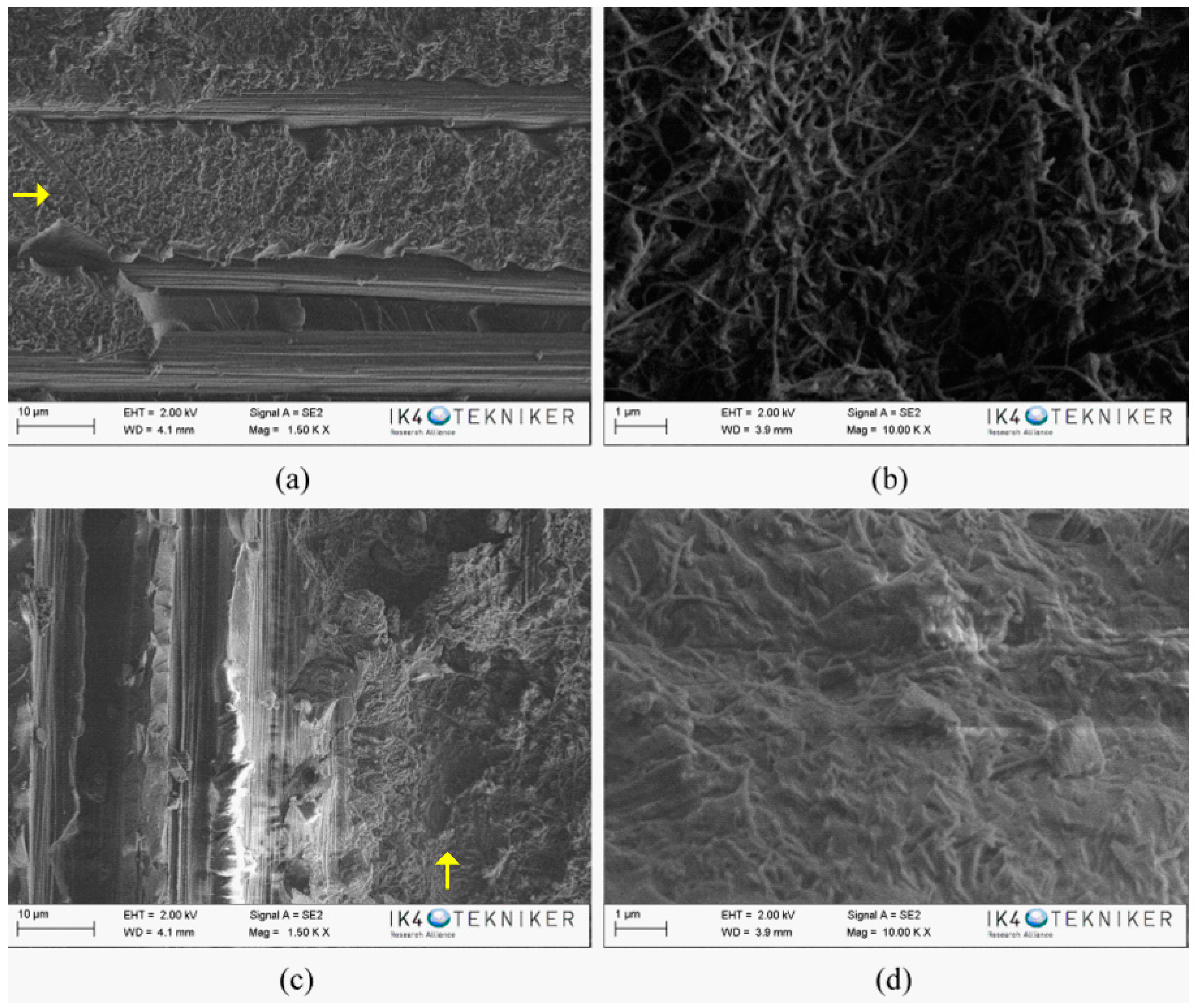Polymers 10 01190 g009a Polymers 10 01190 g009a