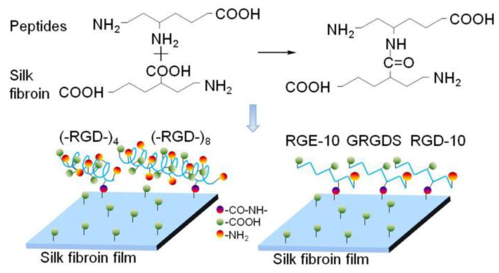 Polymers 10 01193 g009