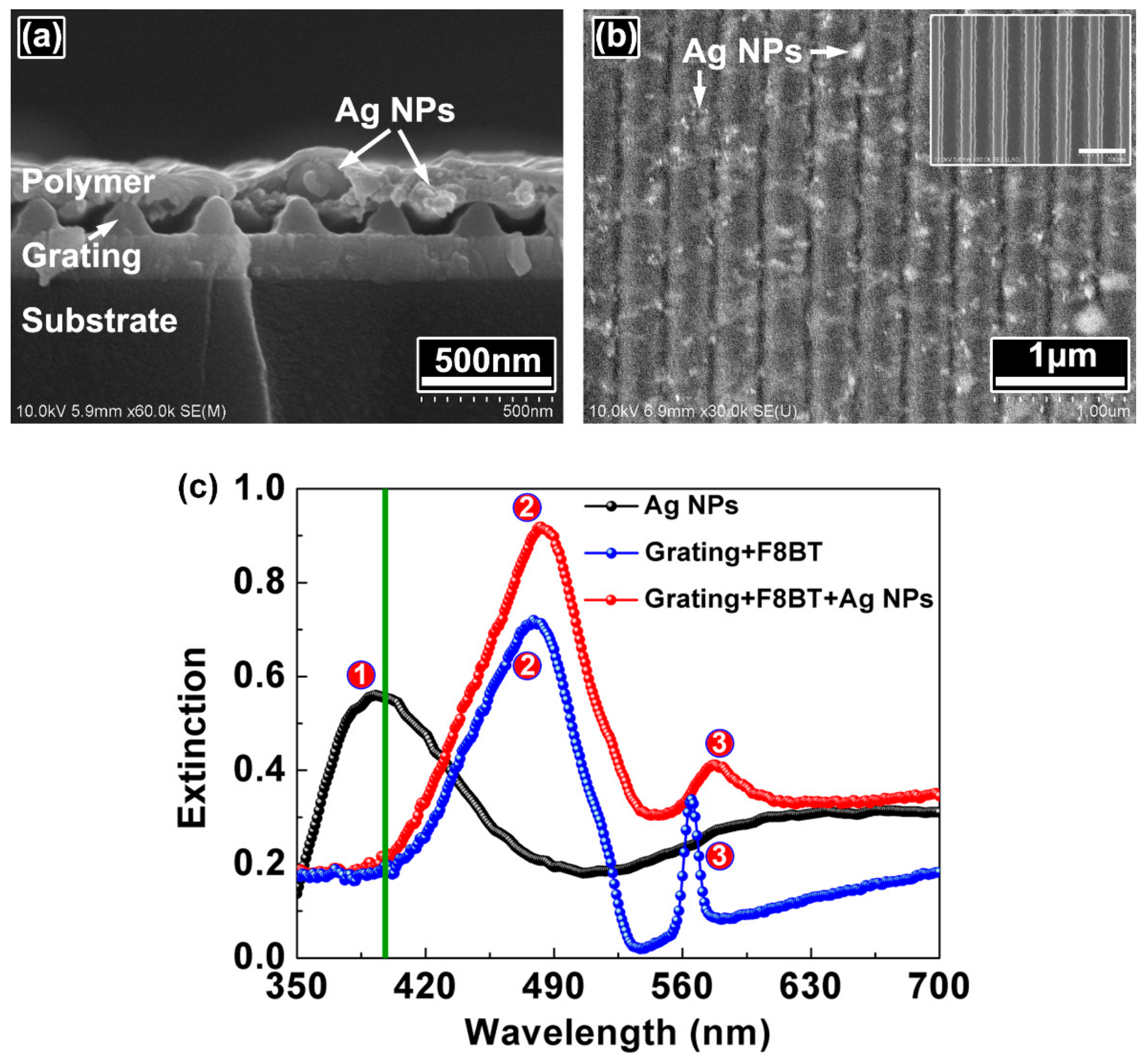 Polymers 10 01194 g002