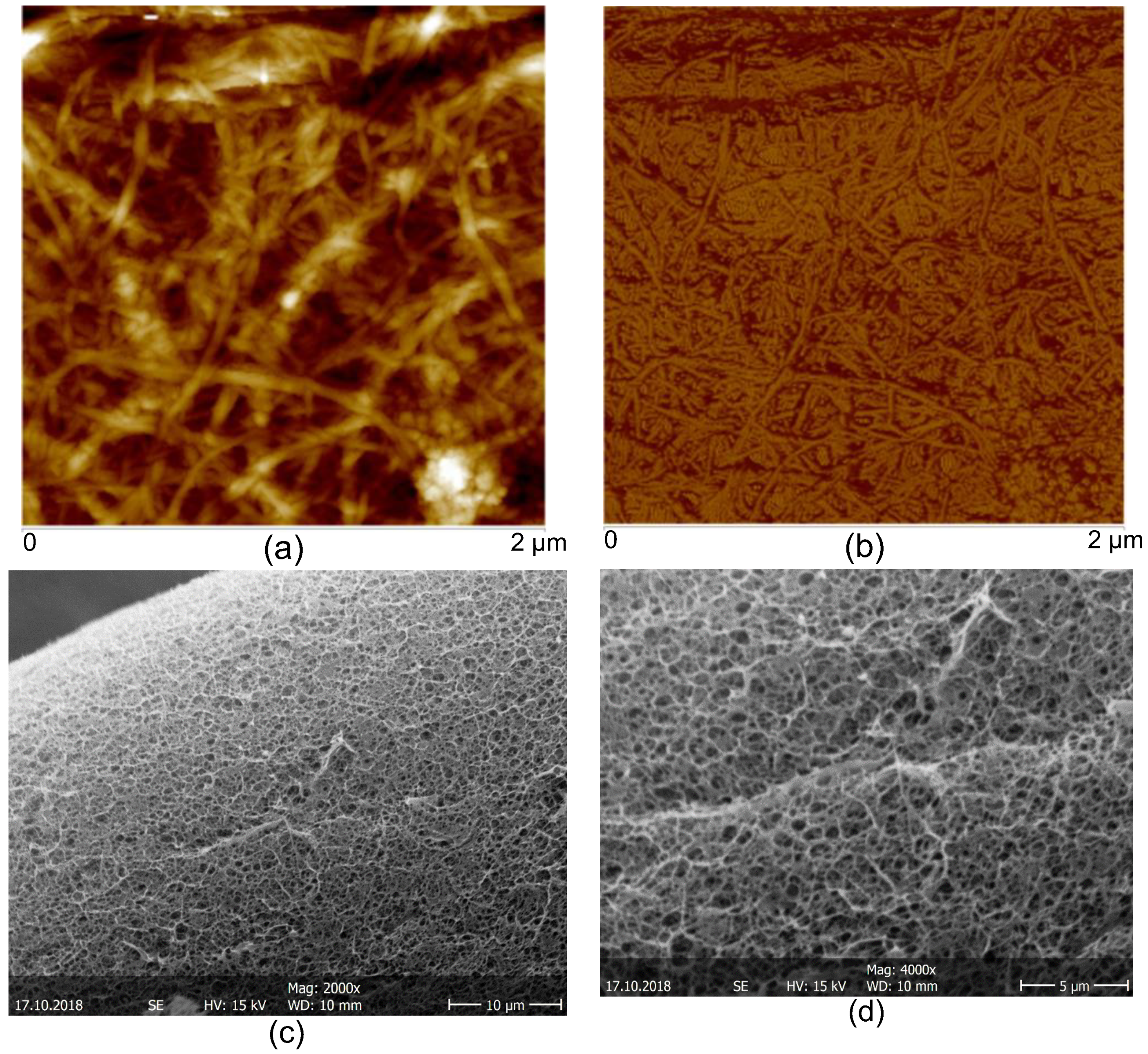 Polymers 10 01202 g005