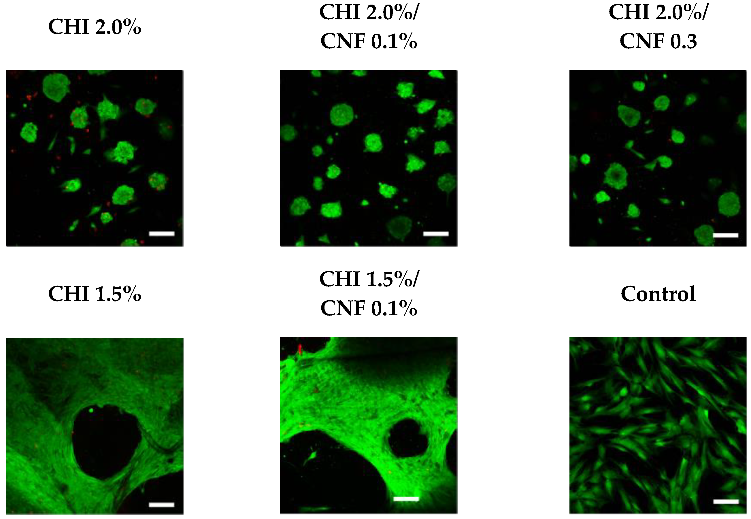 Polymers 10 01202 g008