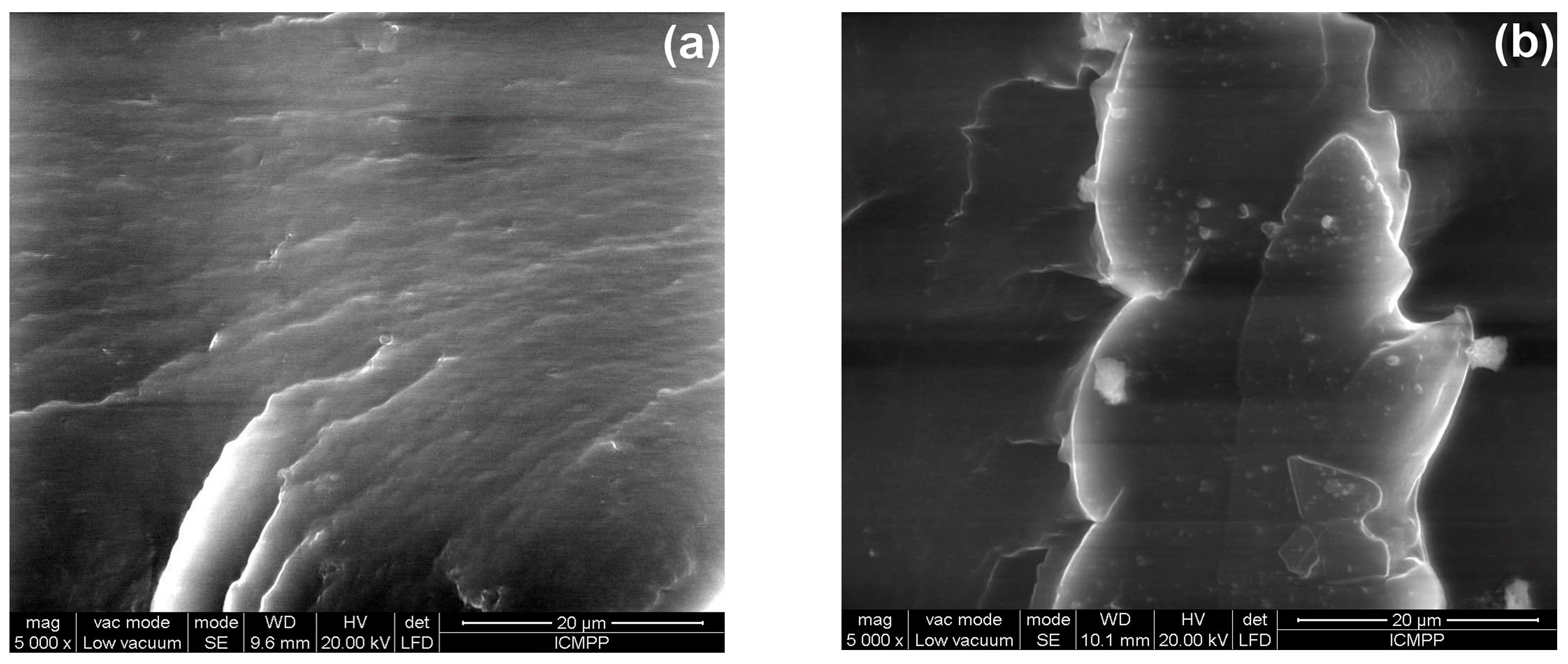 Polymers 10 01206 g015a