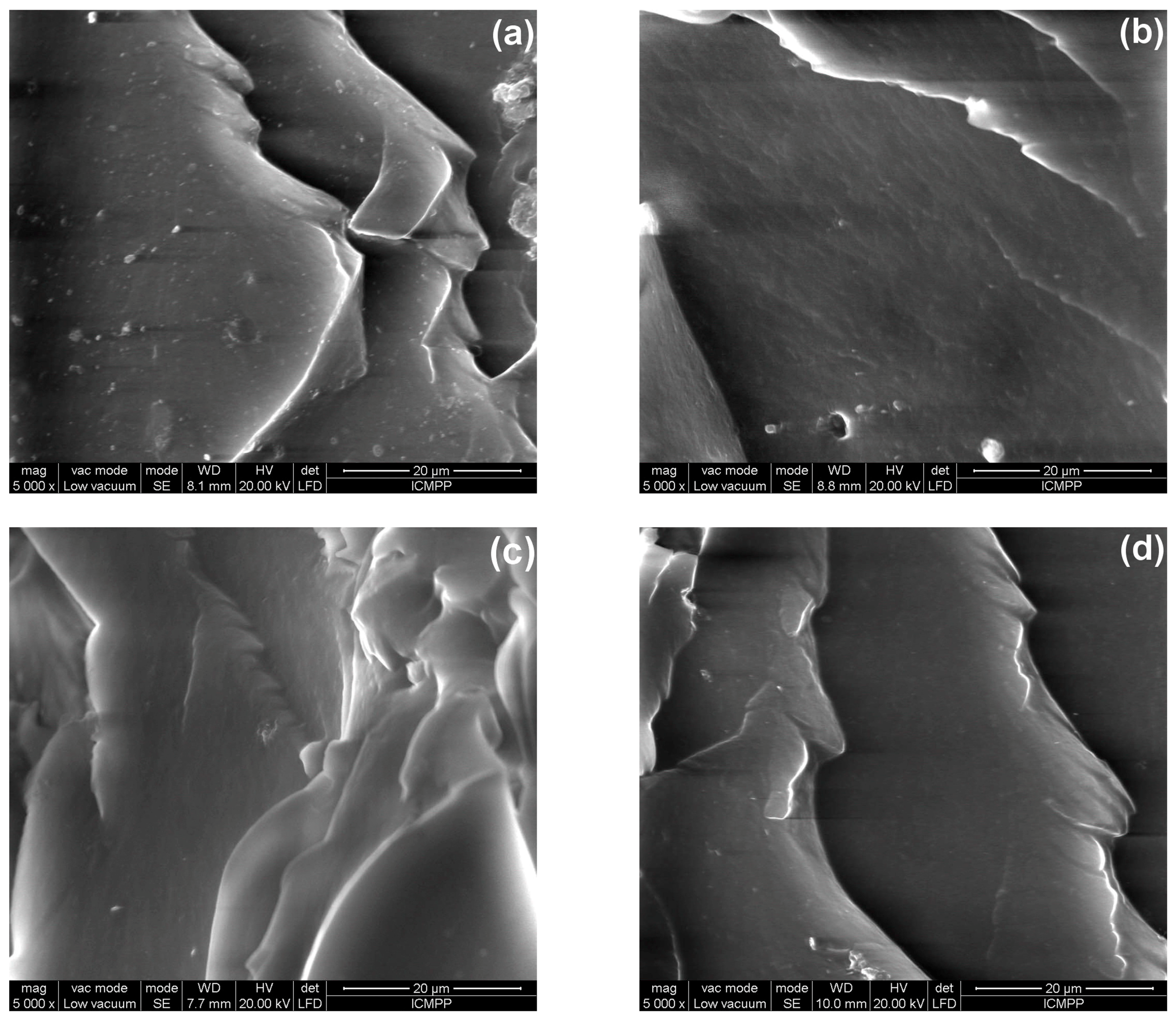 Polymers 10 01206 g016