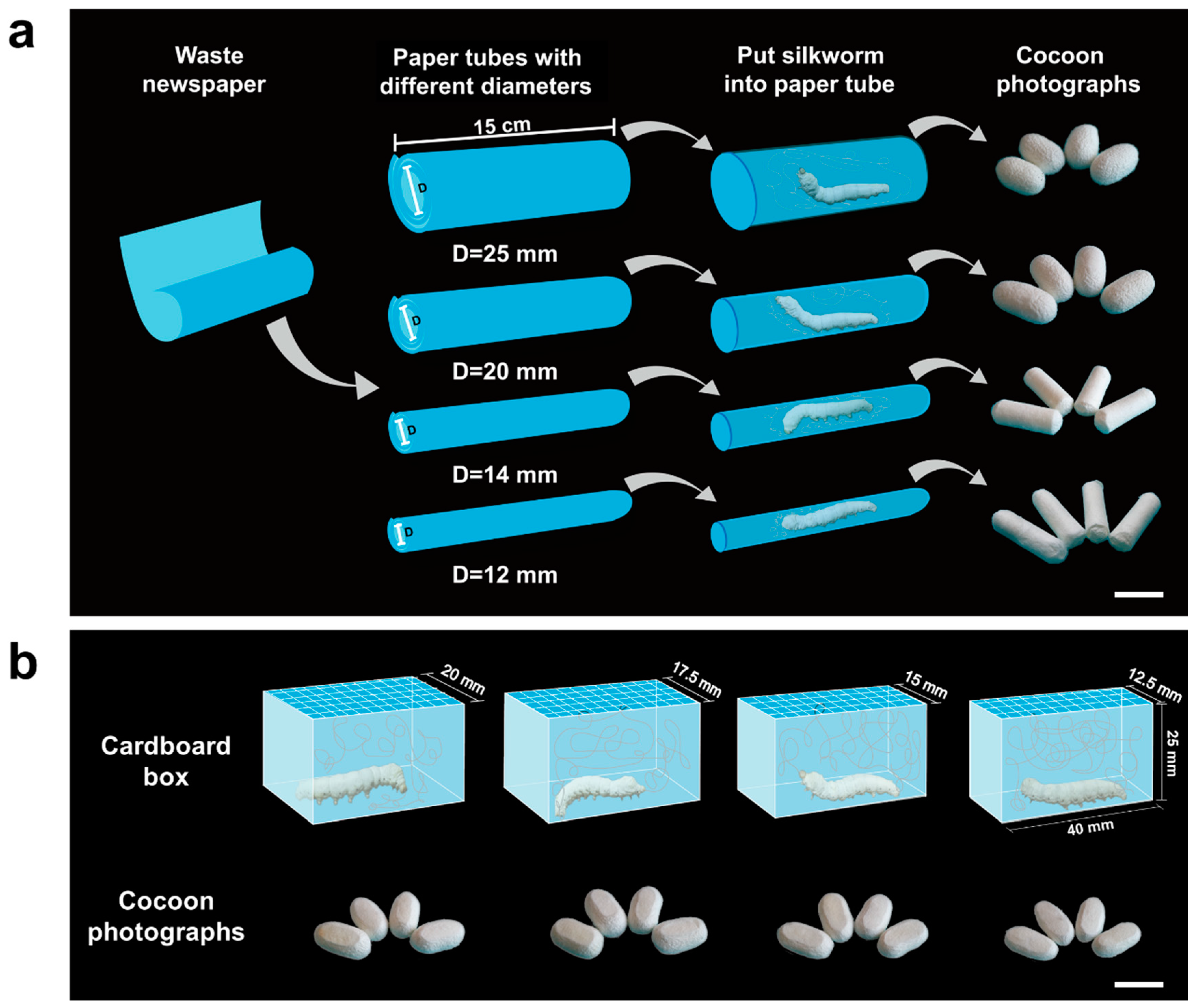 Polymers 10 01214 g001 Polymers 10 01214 g001