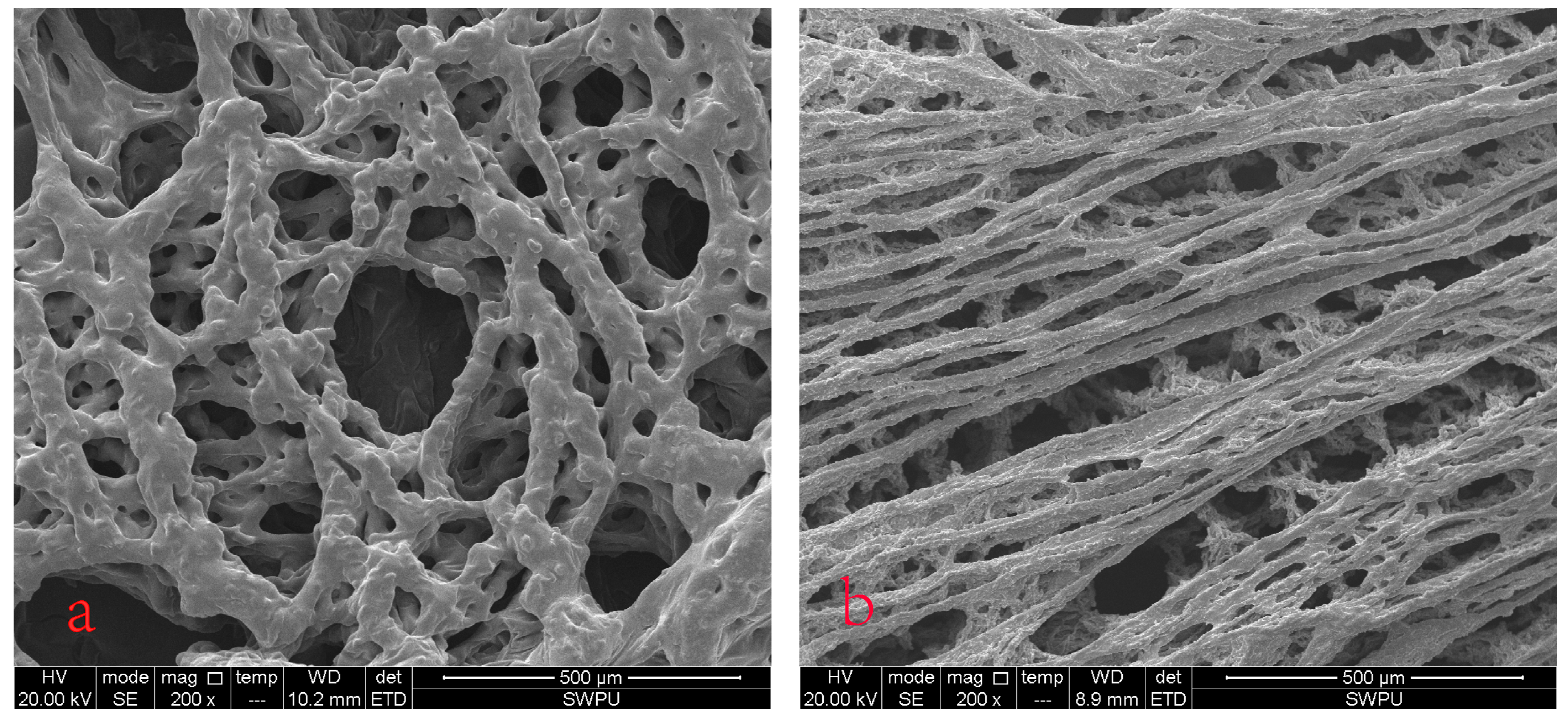 Polymers 10 01215 g017 Polymers 10 01215 g017