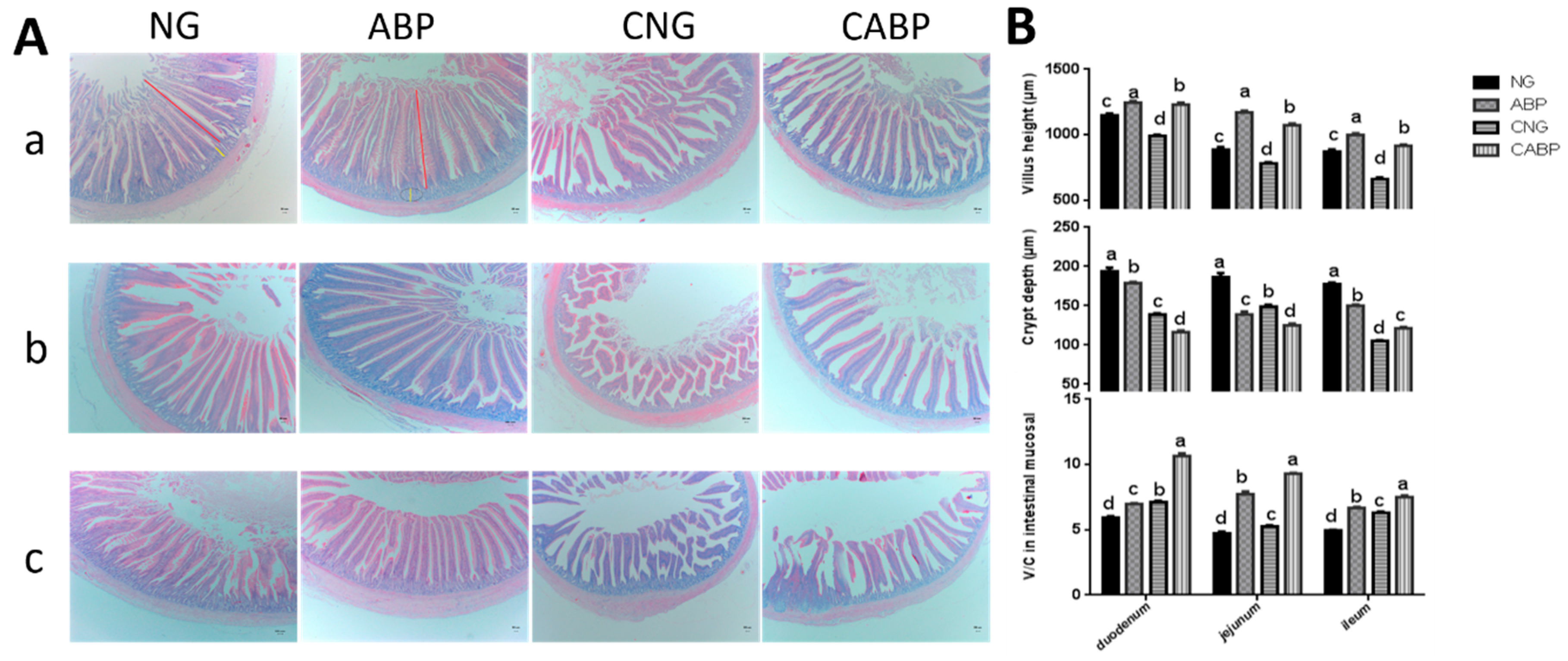 Polymers 10 01233 g003