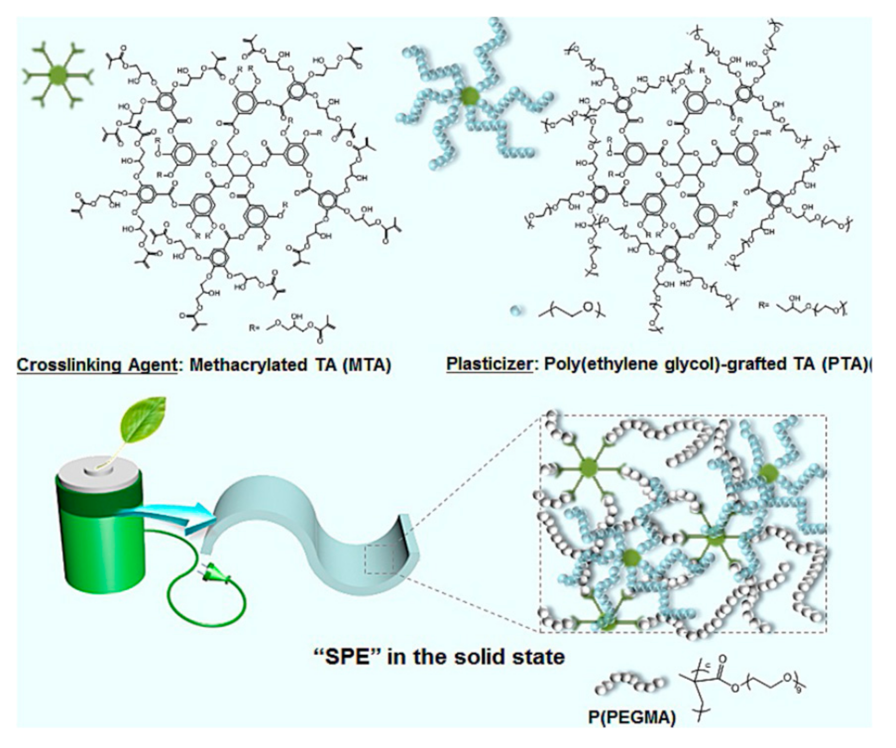 Polymers 10 01237 g002