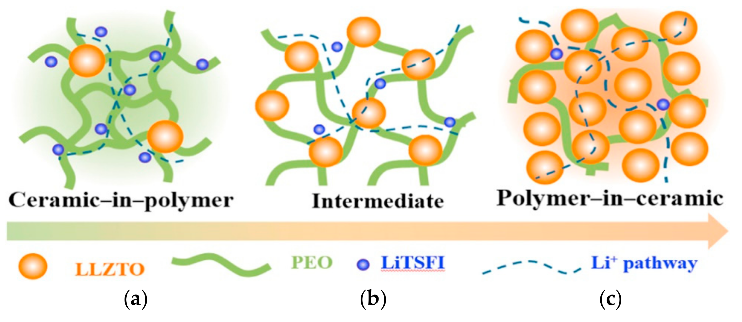 Polymers | Free Full-Text | Development of the PEO Based ...