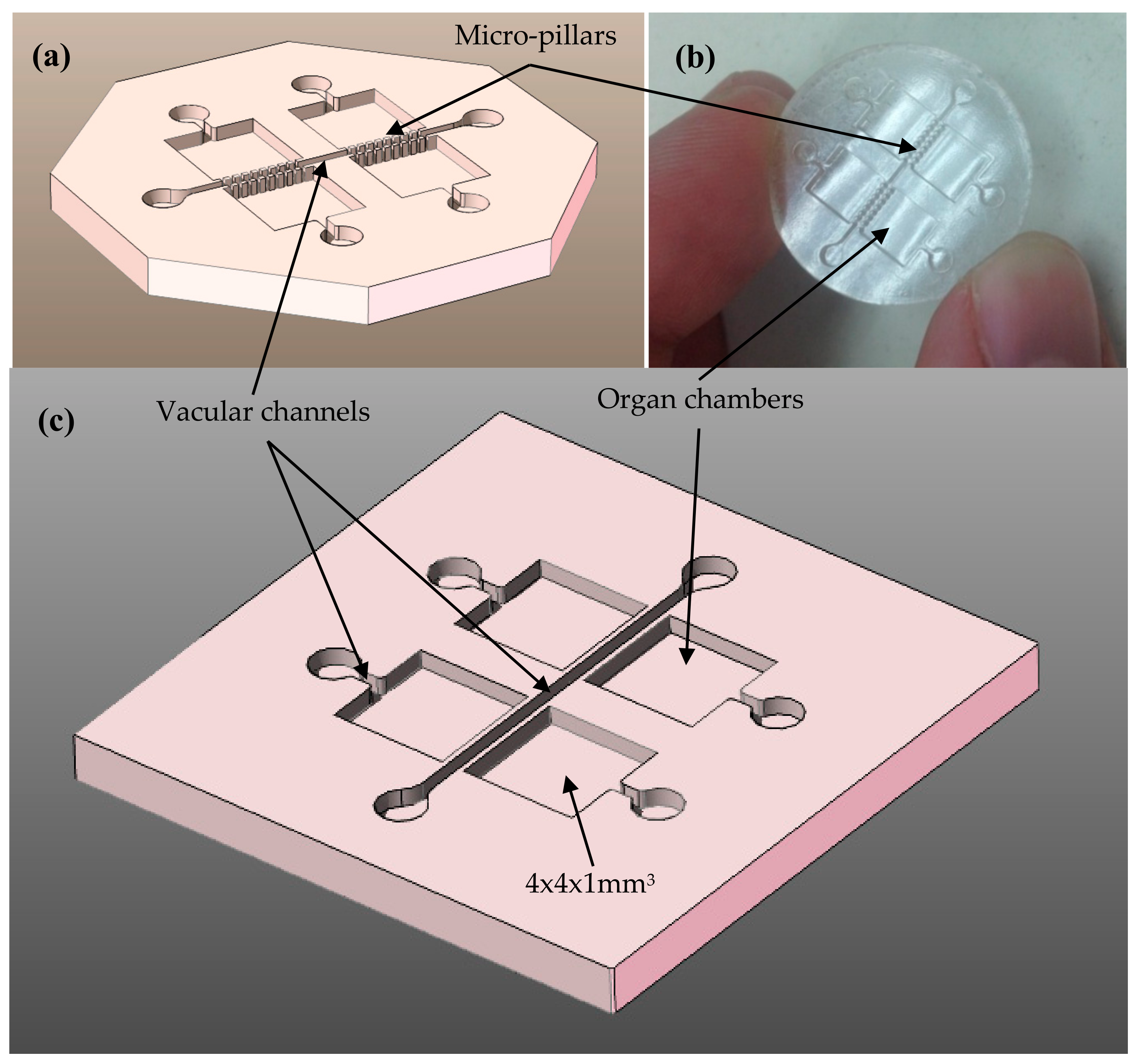 Polymers 10 01238 g001 Polymers 10 01238 g001