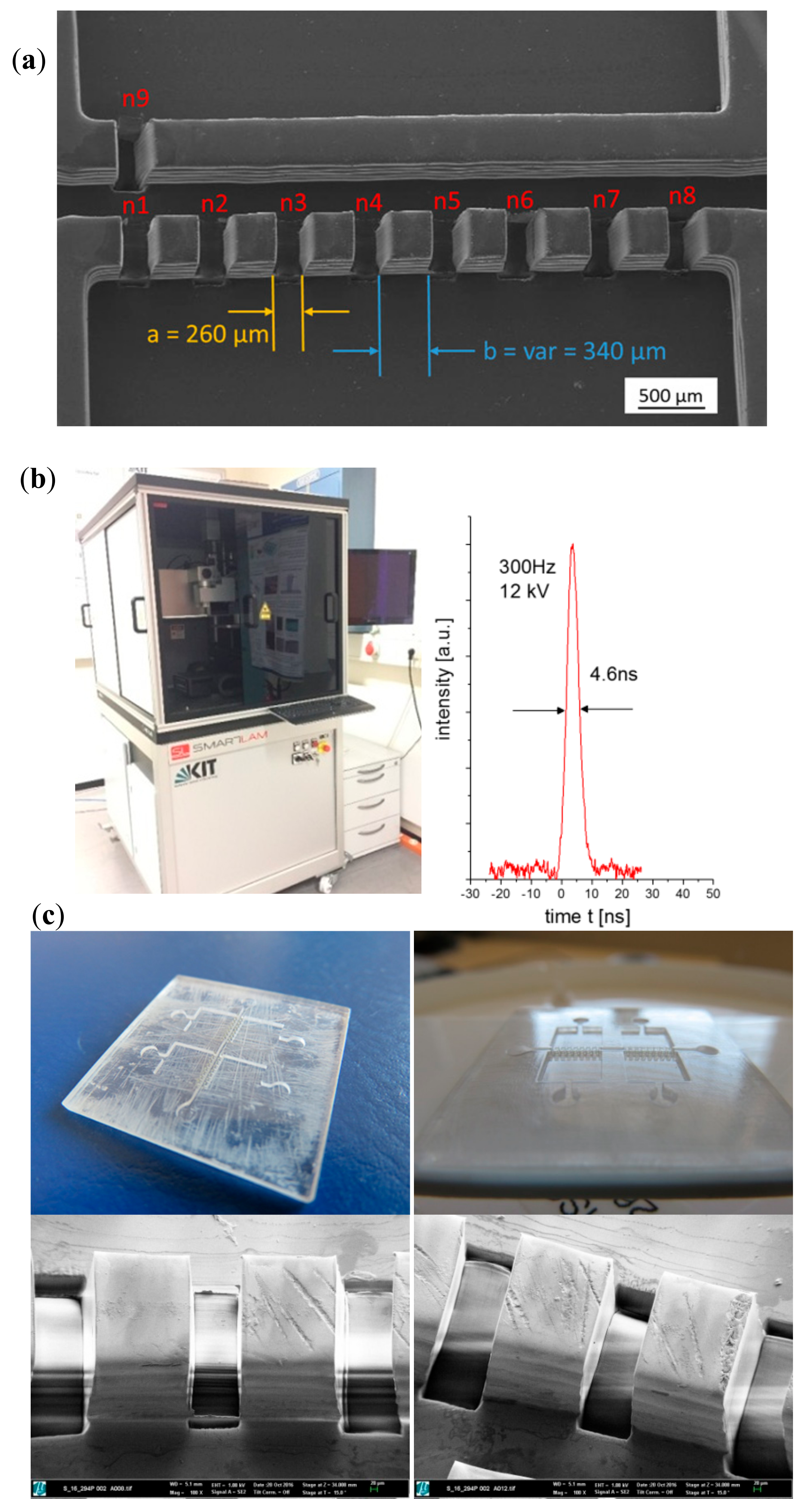 Polymers 10 01238 g002 Polymers 10 01238 g002