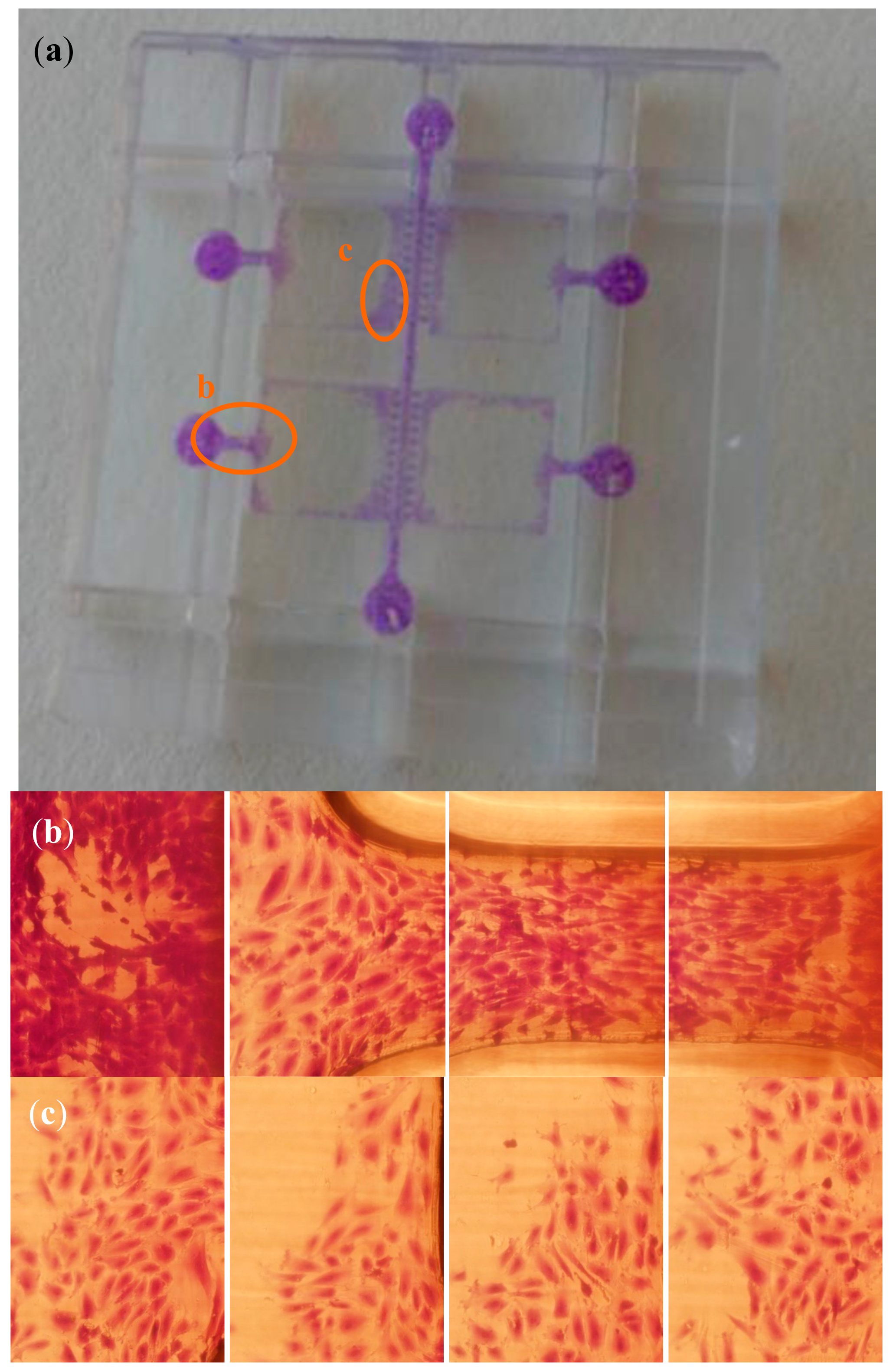 Polymers 10 01238 g007 Polymers 10 01238 g007