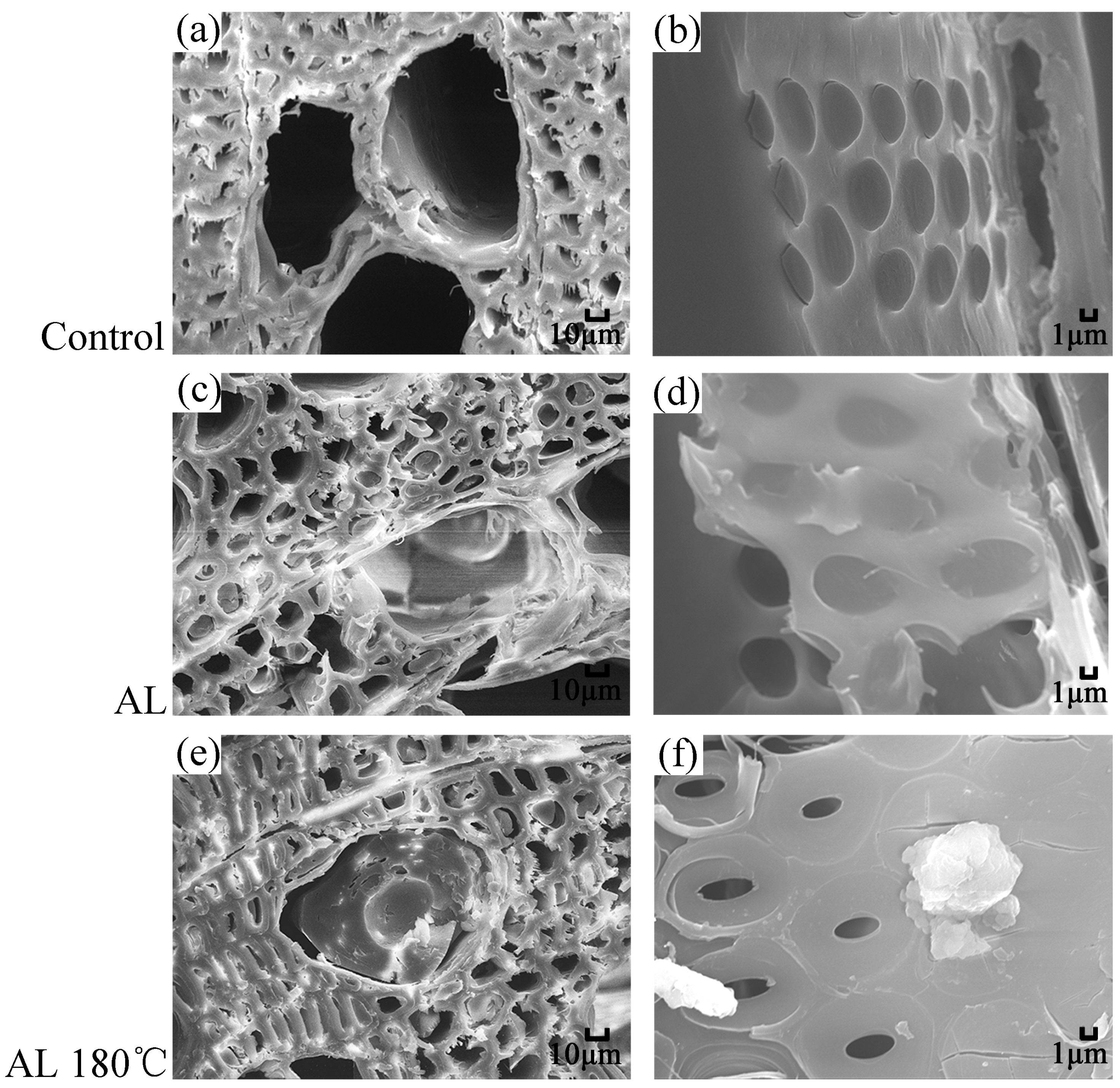 Polymers 10 01240 g001 Polymers 10 01240 g001