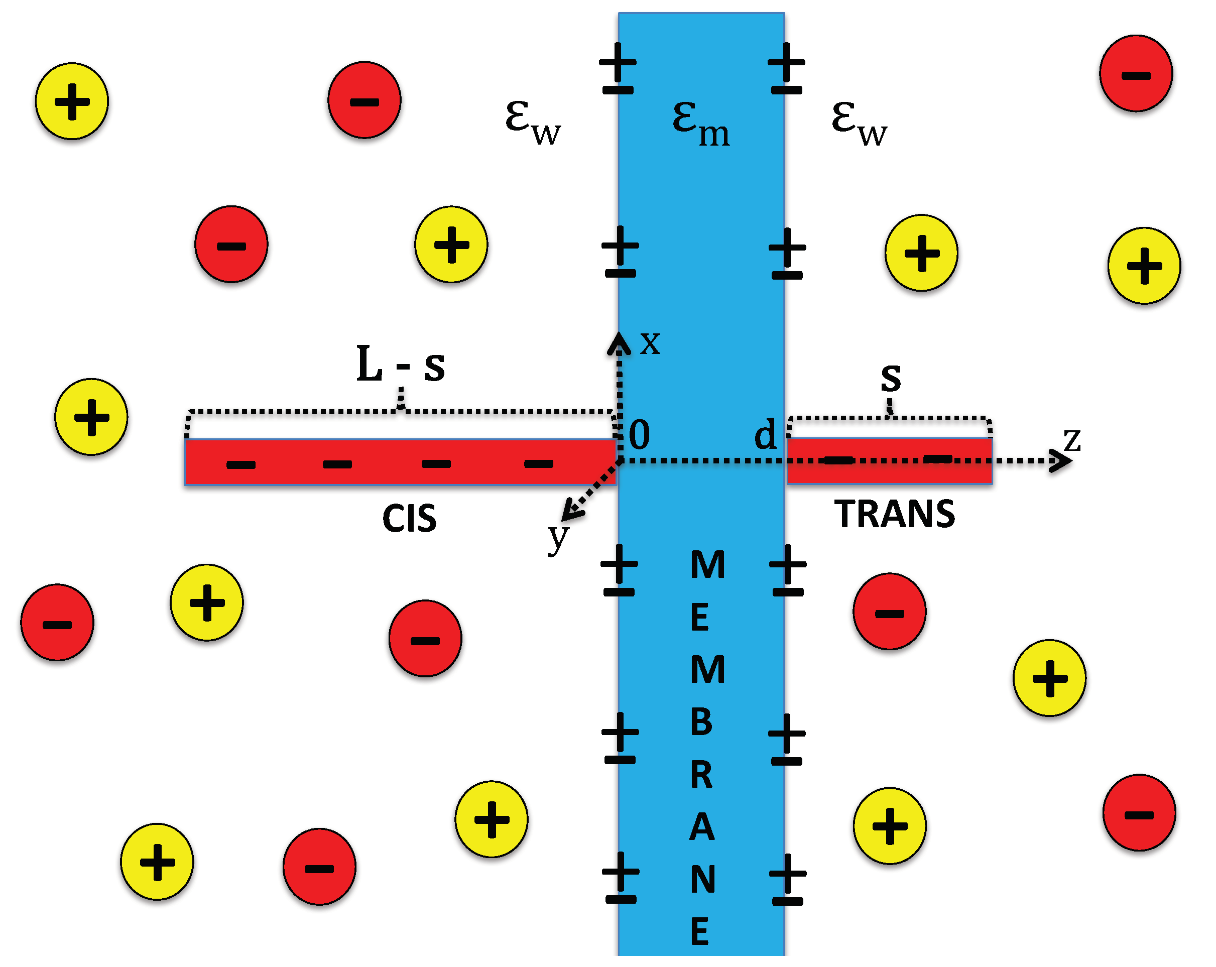 Polymers 10 01242 g001 Polymers 10 01242 g001