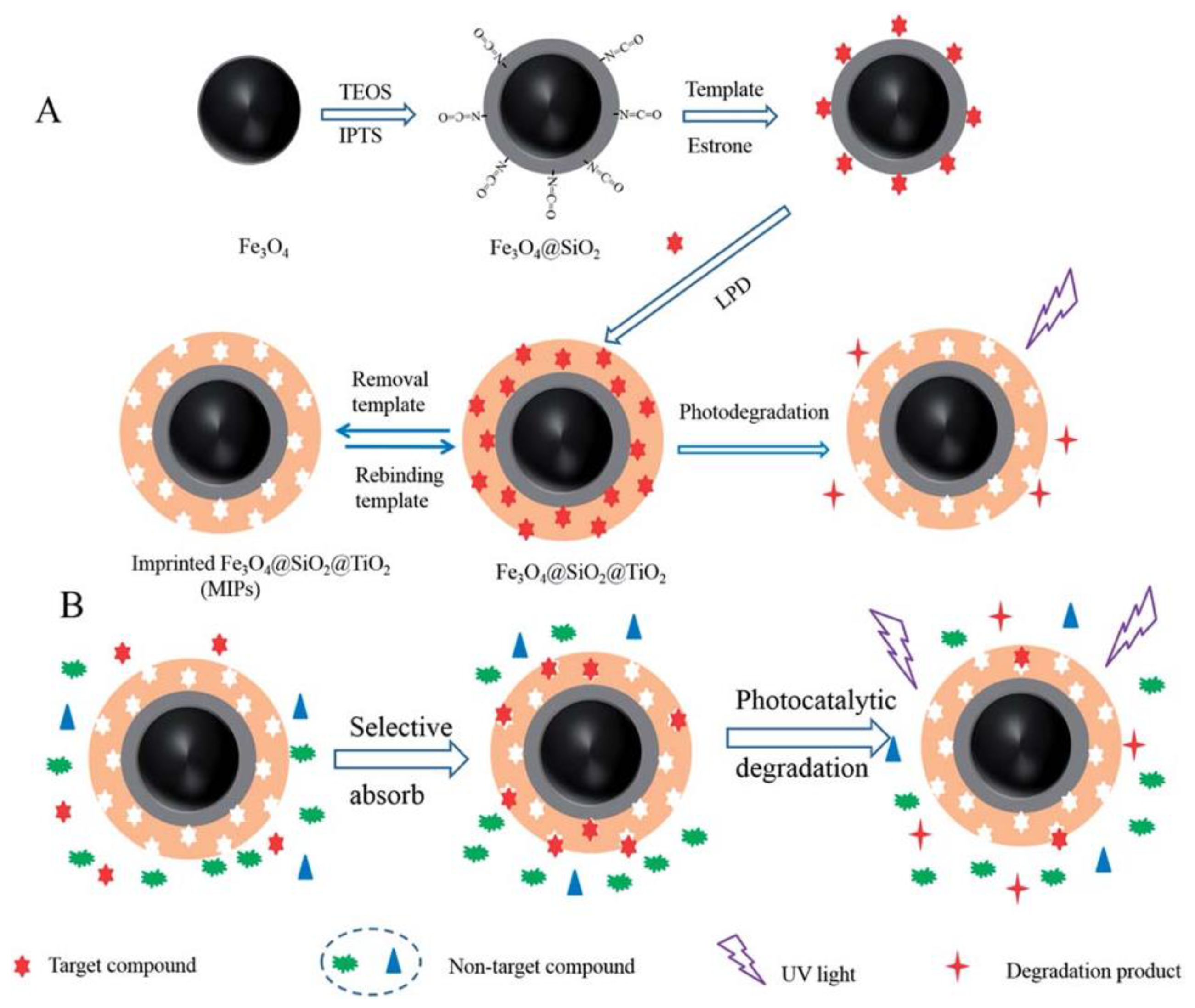 Polymers 10 01248 g007 Polymers 10 01248 g007