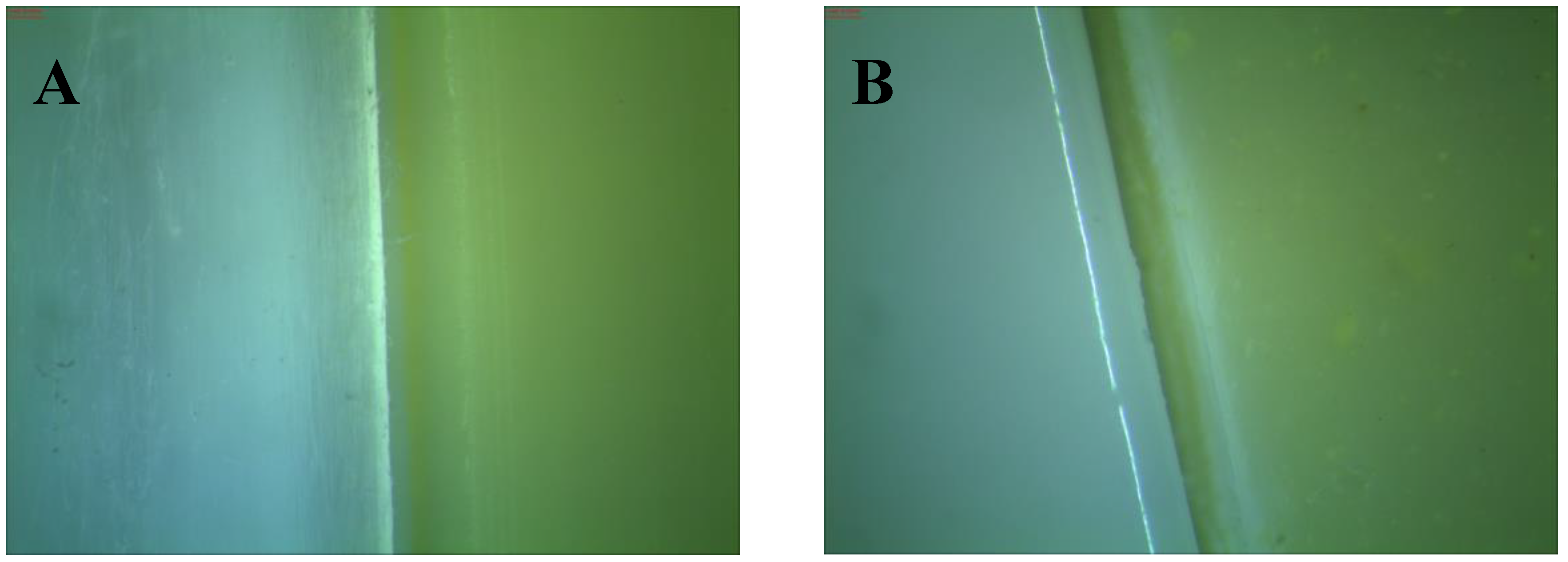 Polymers 10 01252 g011