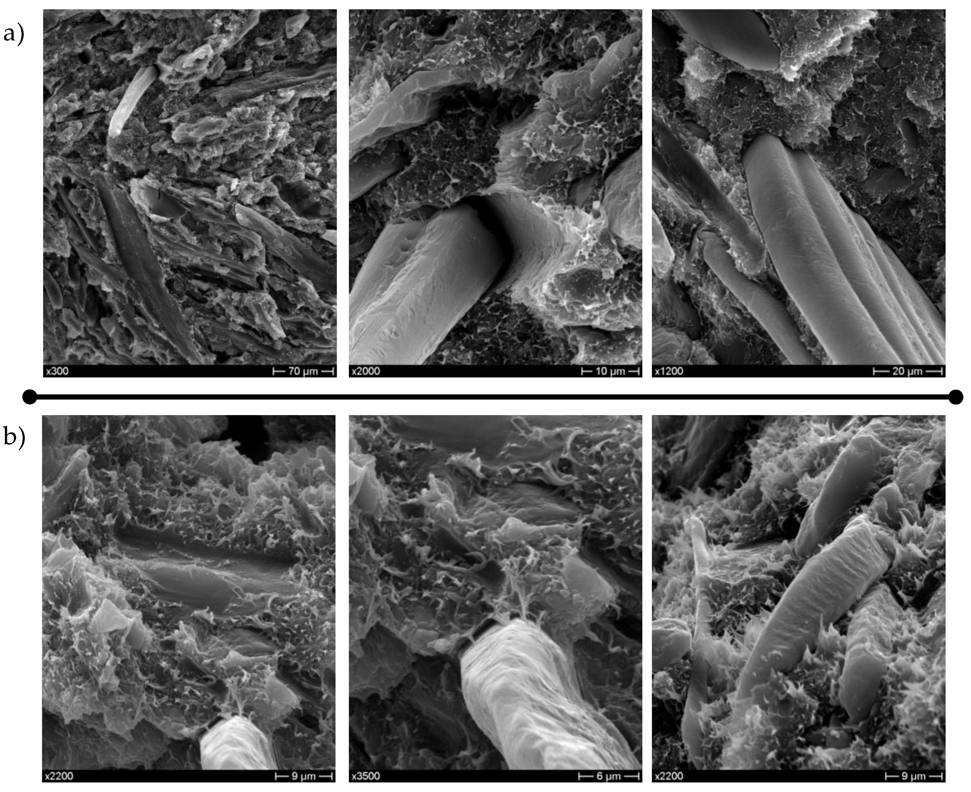 Polymers 10 01256 g004 Polymers 10 01256 g004