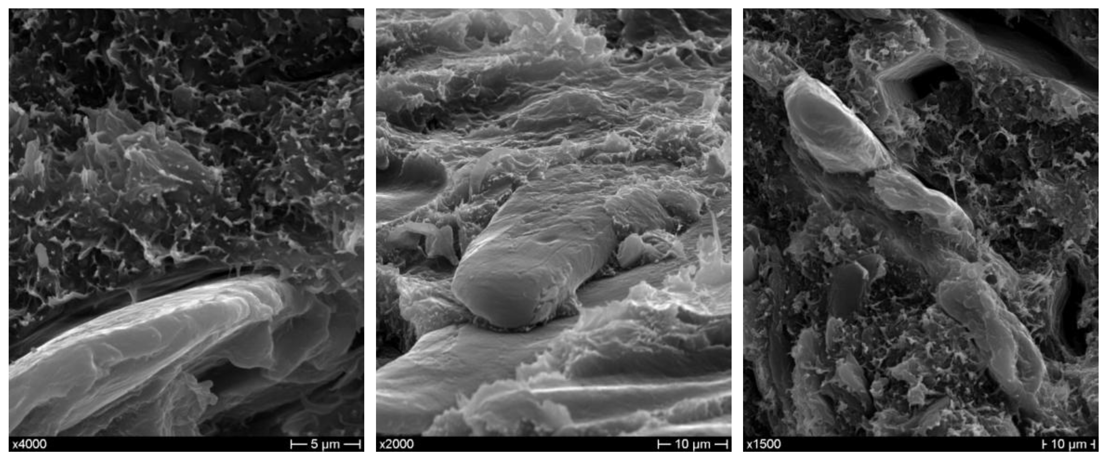 Polymers 10 01256 g007 Polymers 10 01256 g007