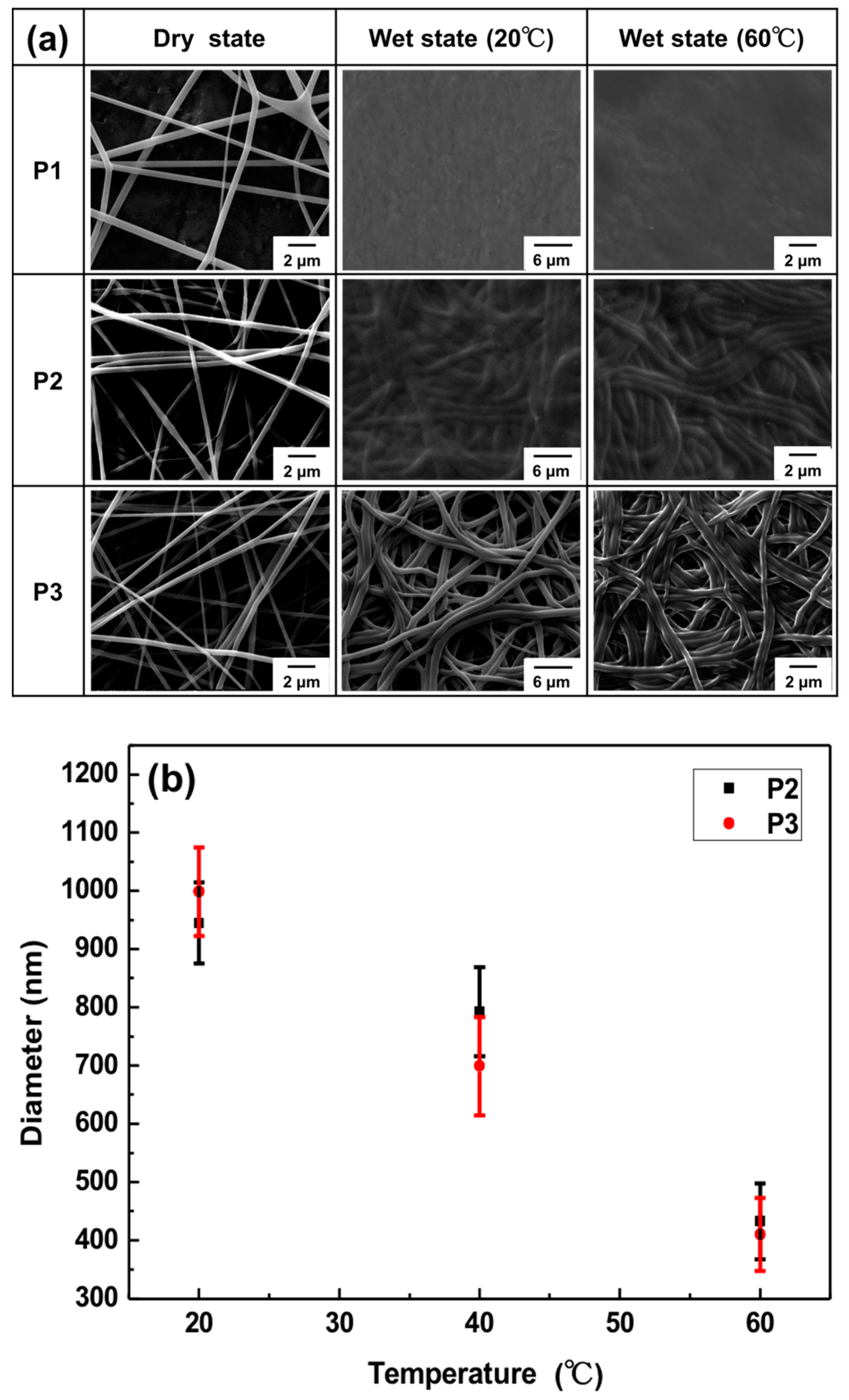 Polymers 10 01259 g001