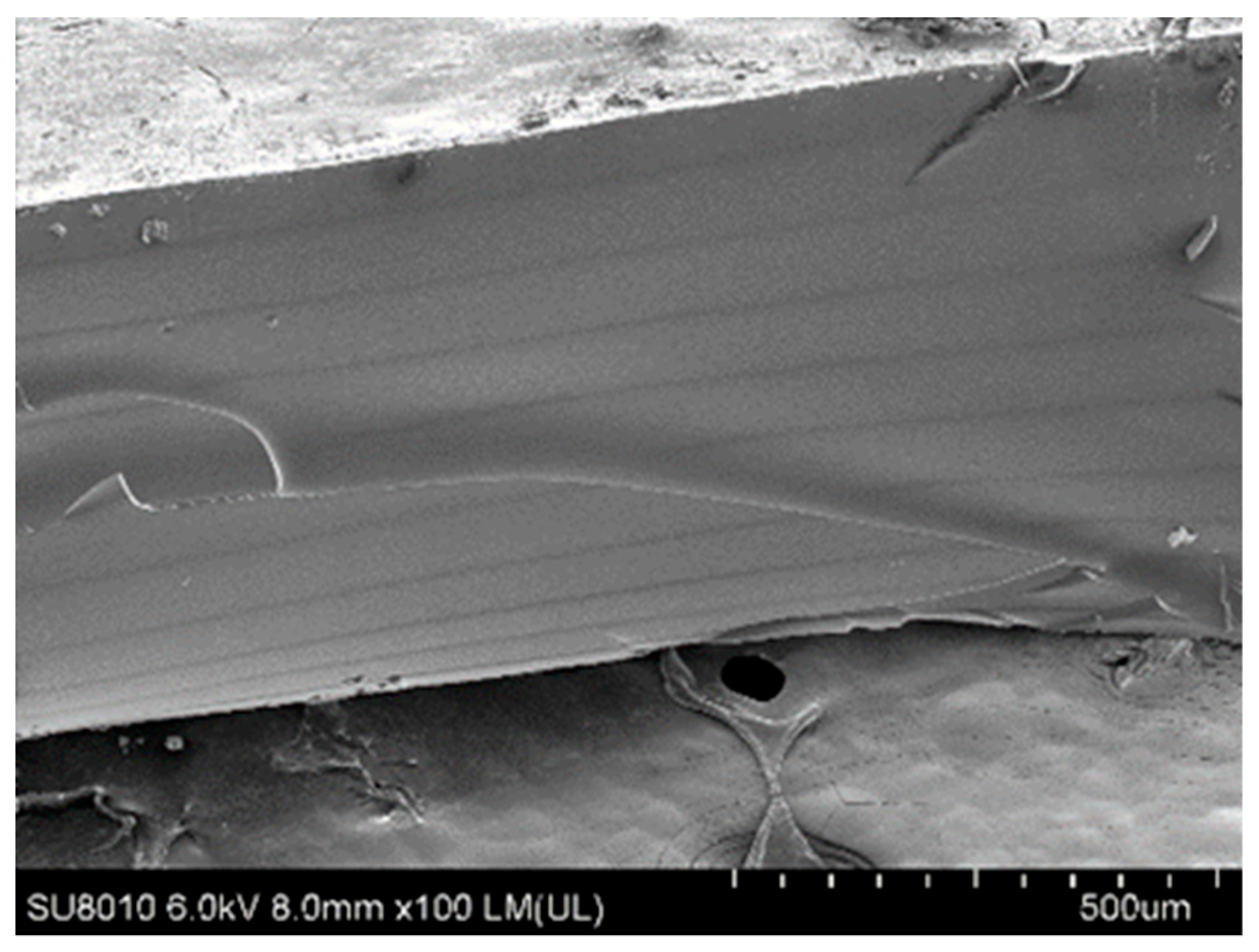 Polymers 10 01263 g007