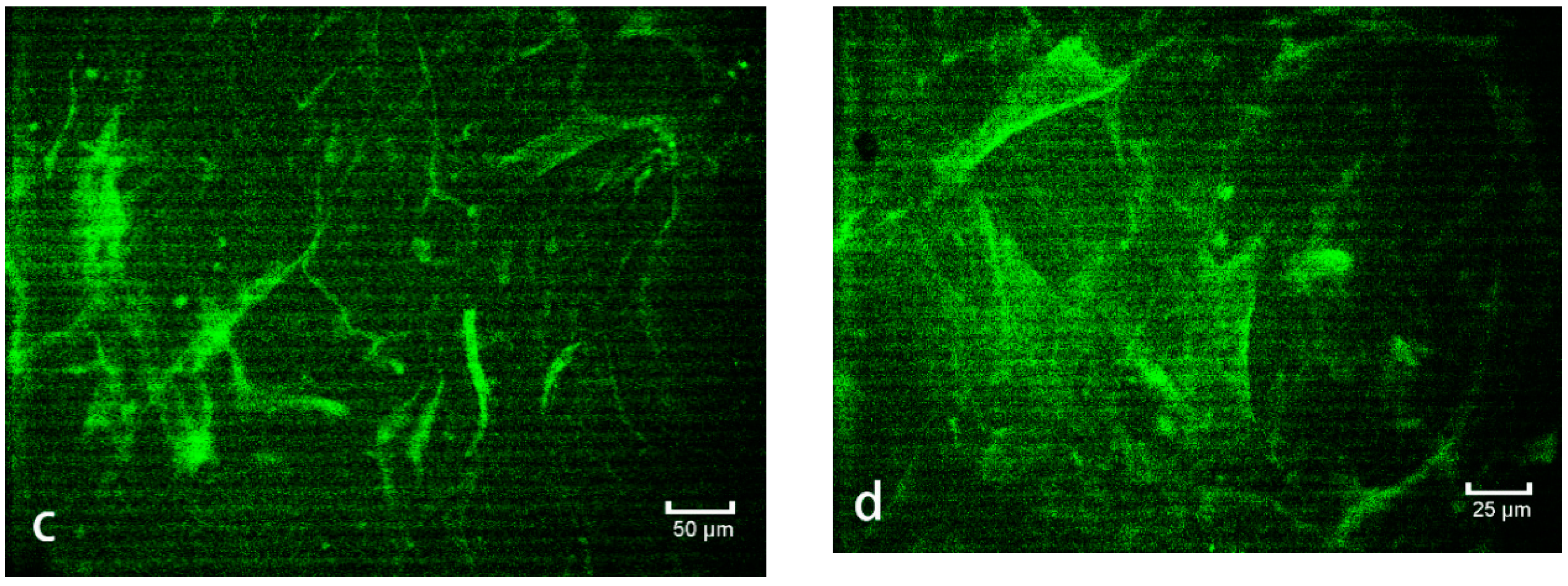 Polymers 10 01264 g011b