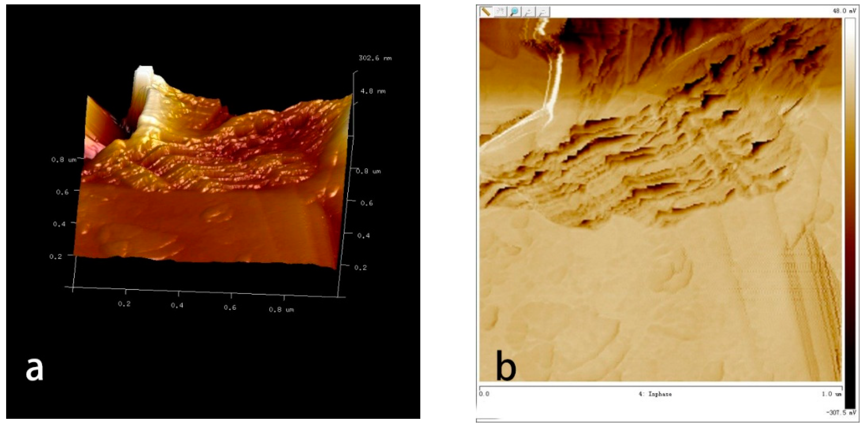 Polymers 10 01264 g015a