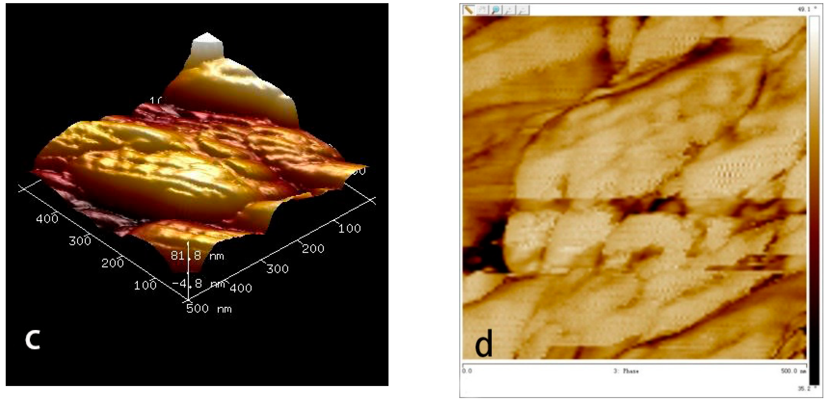 Polymers 10 01264 g015b